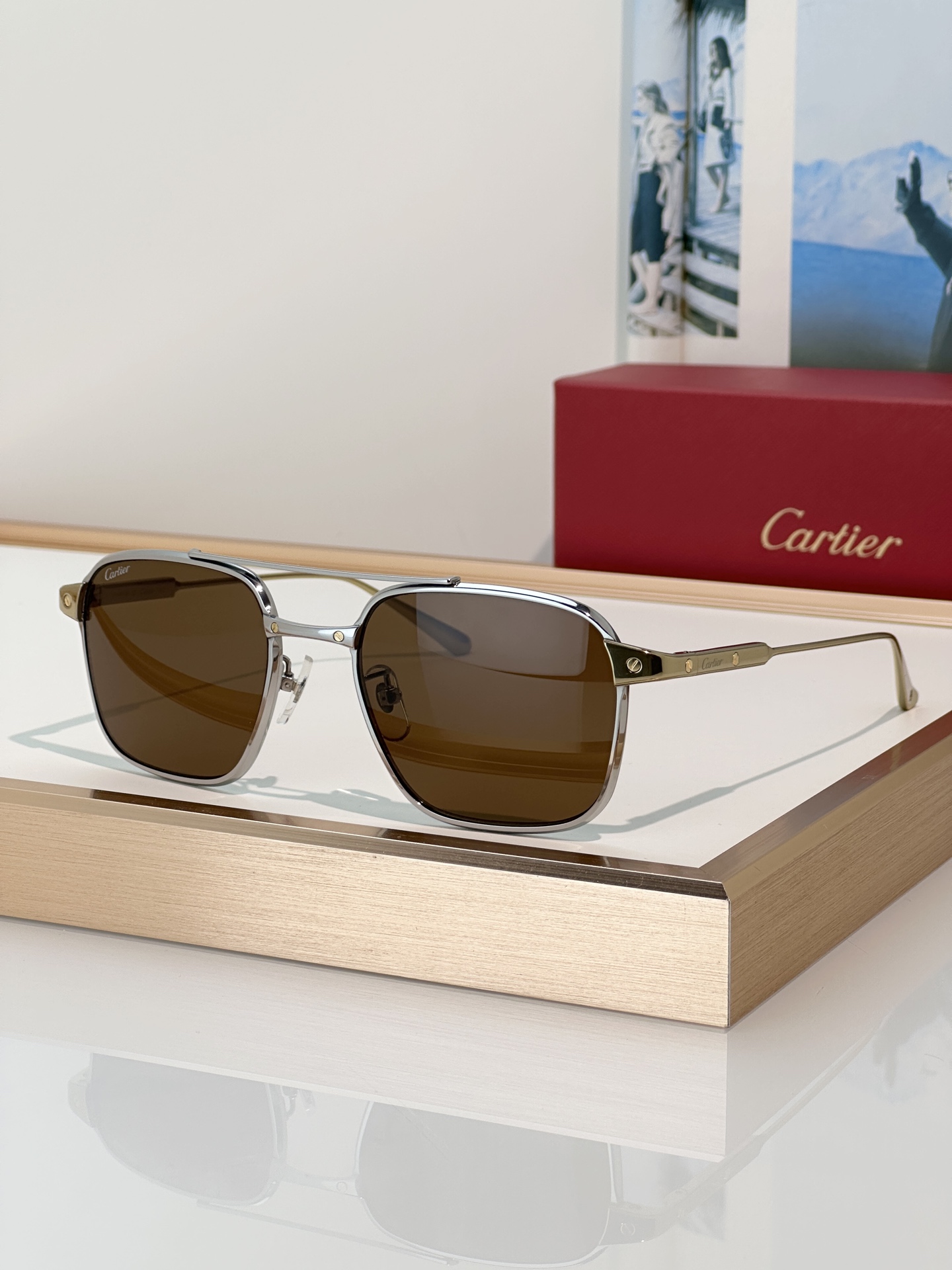 Designer Sunglasses CT0610S