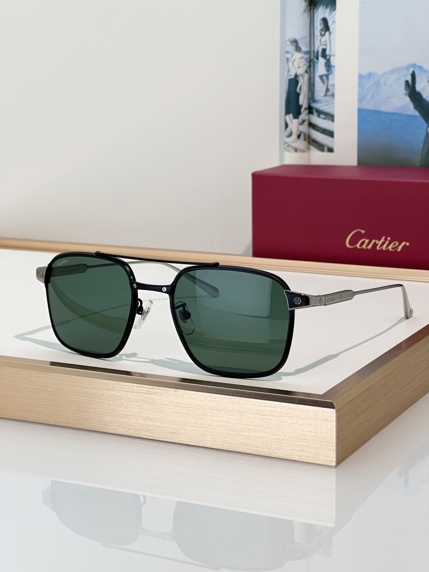 Designer Sunglasses CT0610S