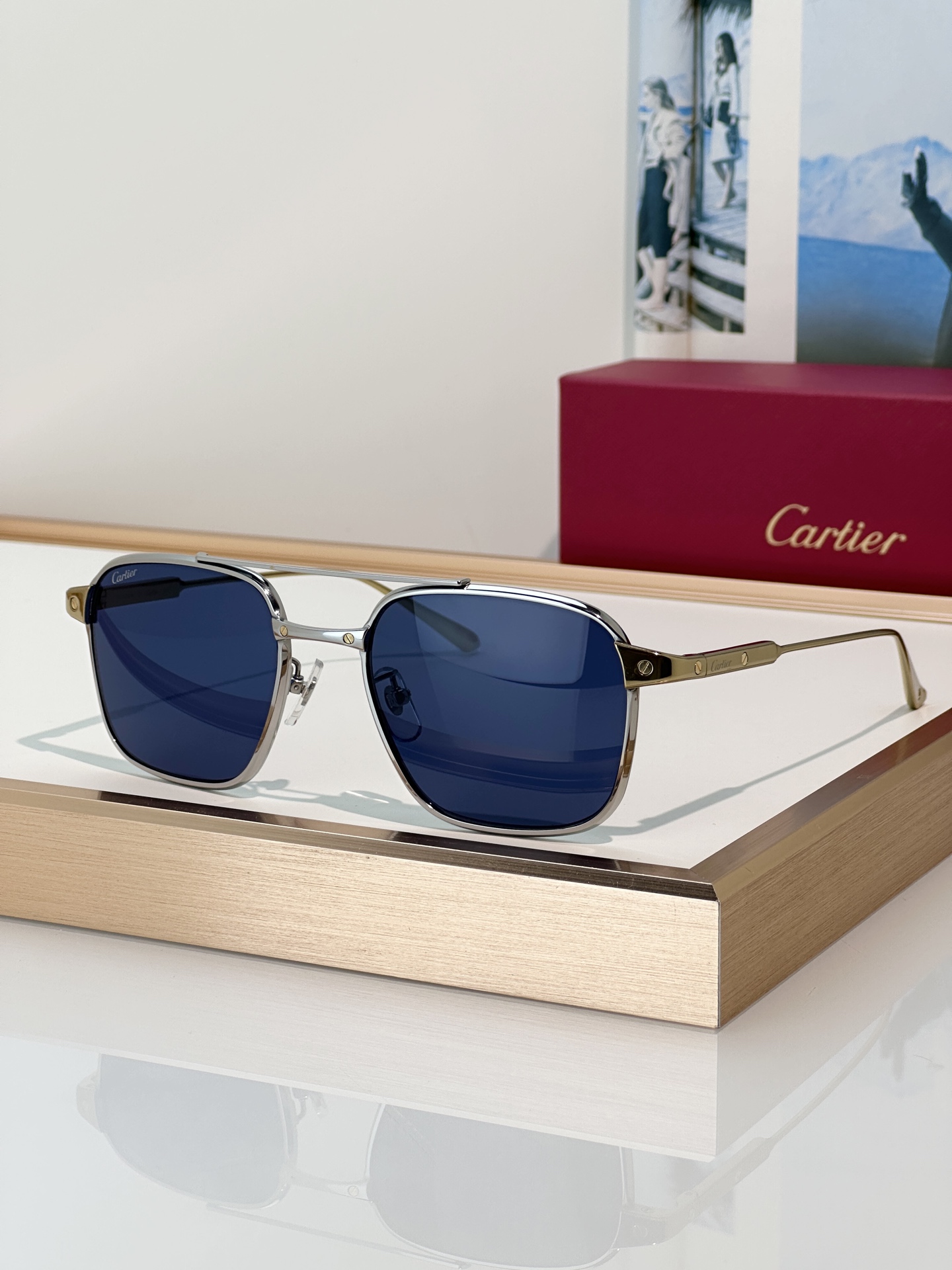 Designer Sunglasses CT0610S