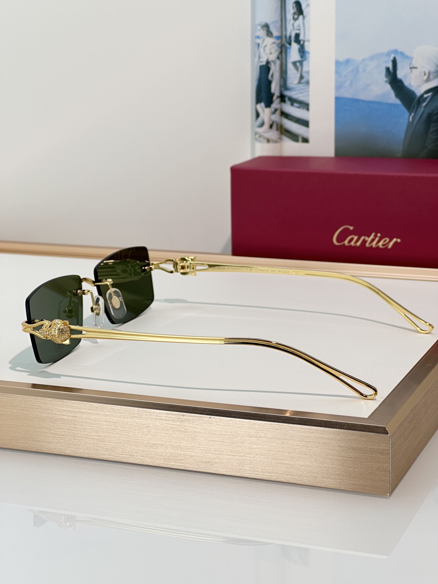 Designer Sunglasses CT0647S