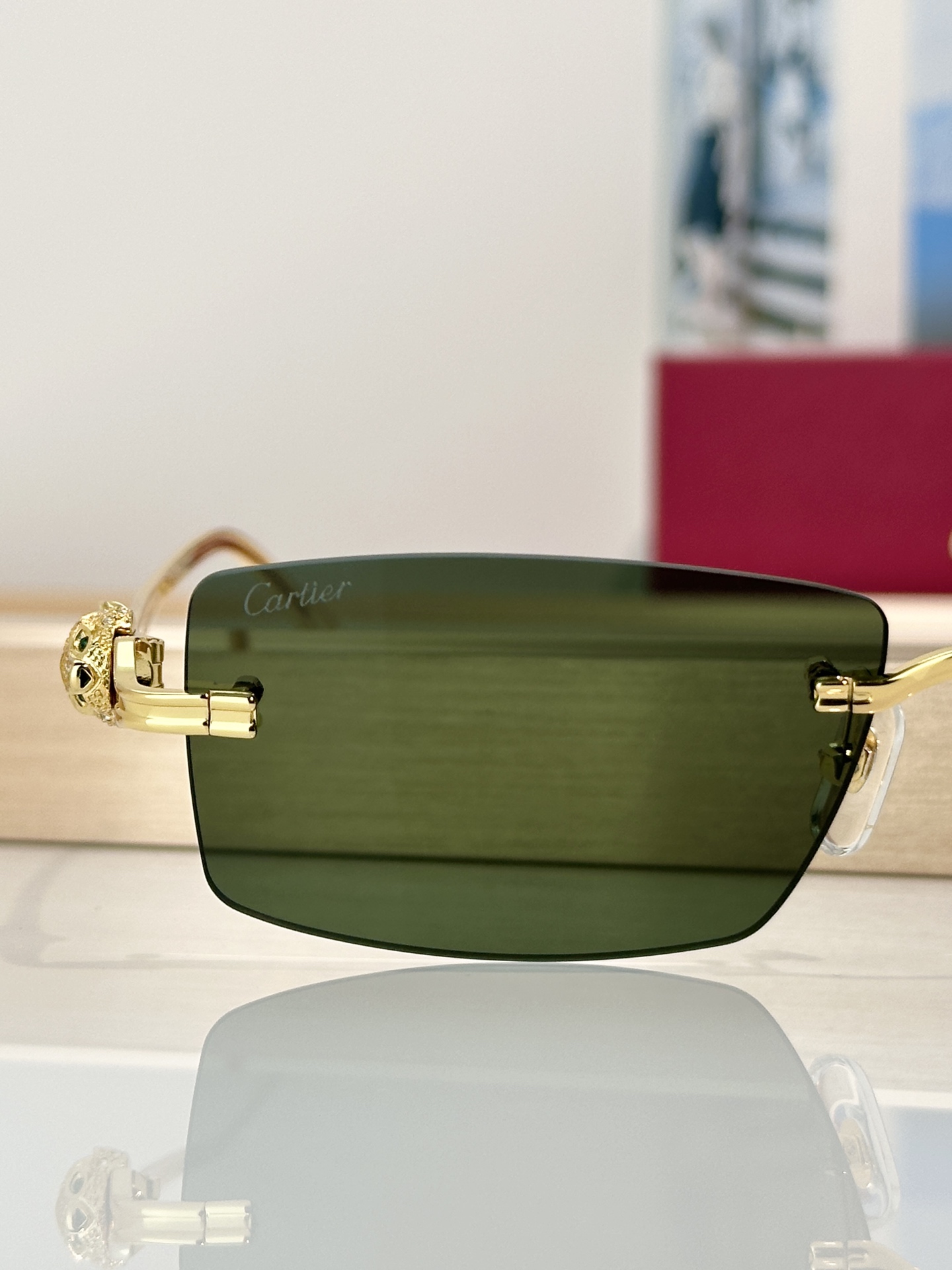 Designer Sunglasses CT0647S