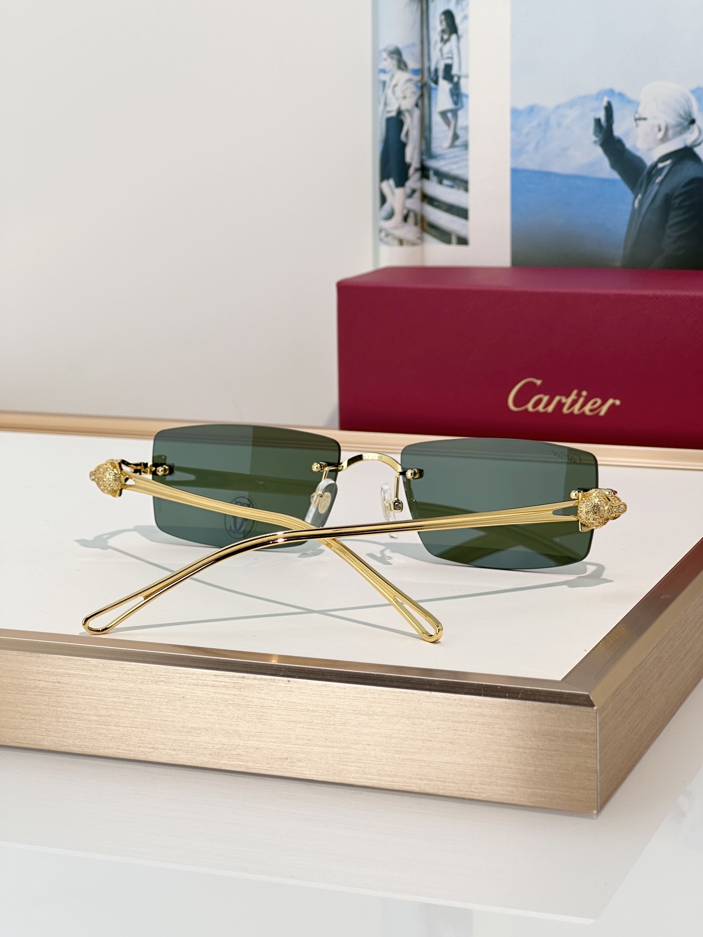 Designer Sunglasses CT0647S