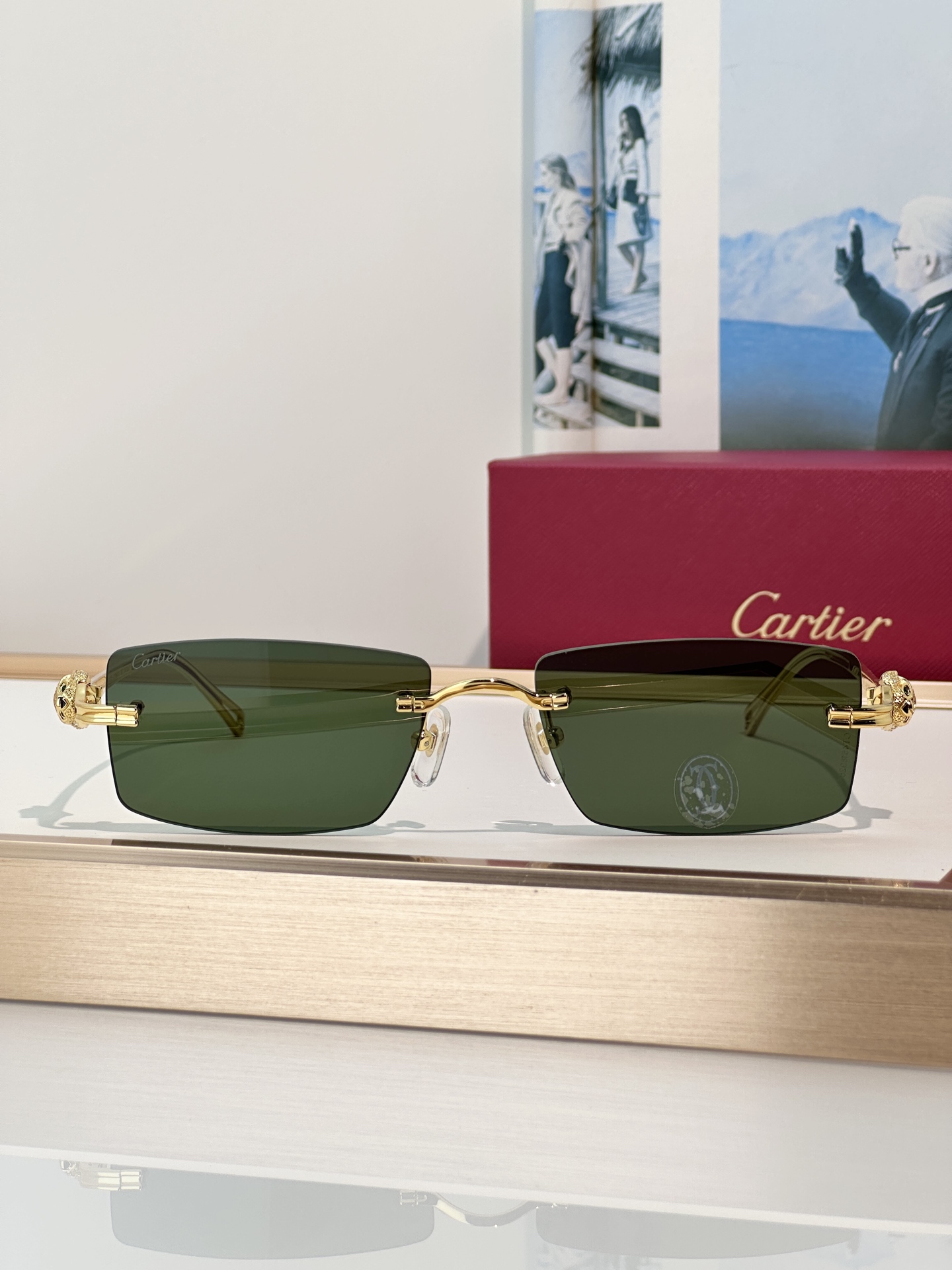 Designer Sunglasses CT0647S