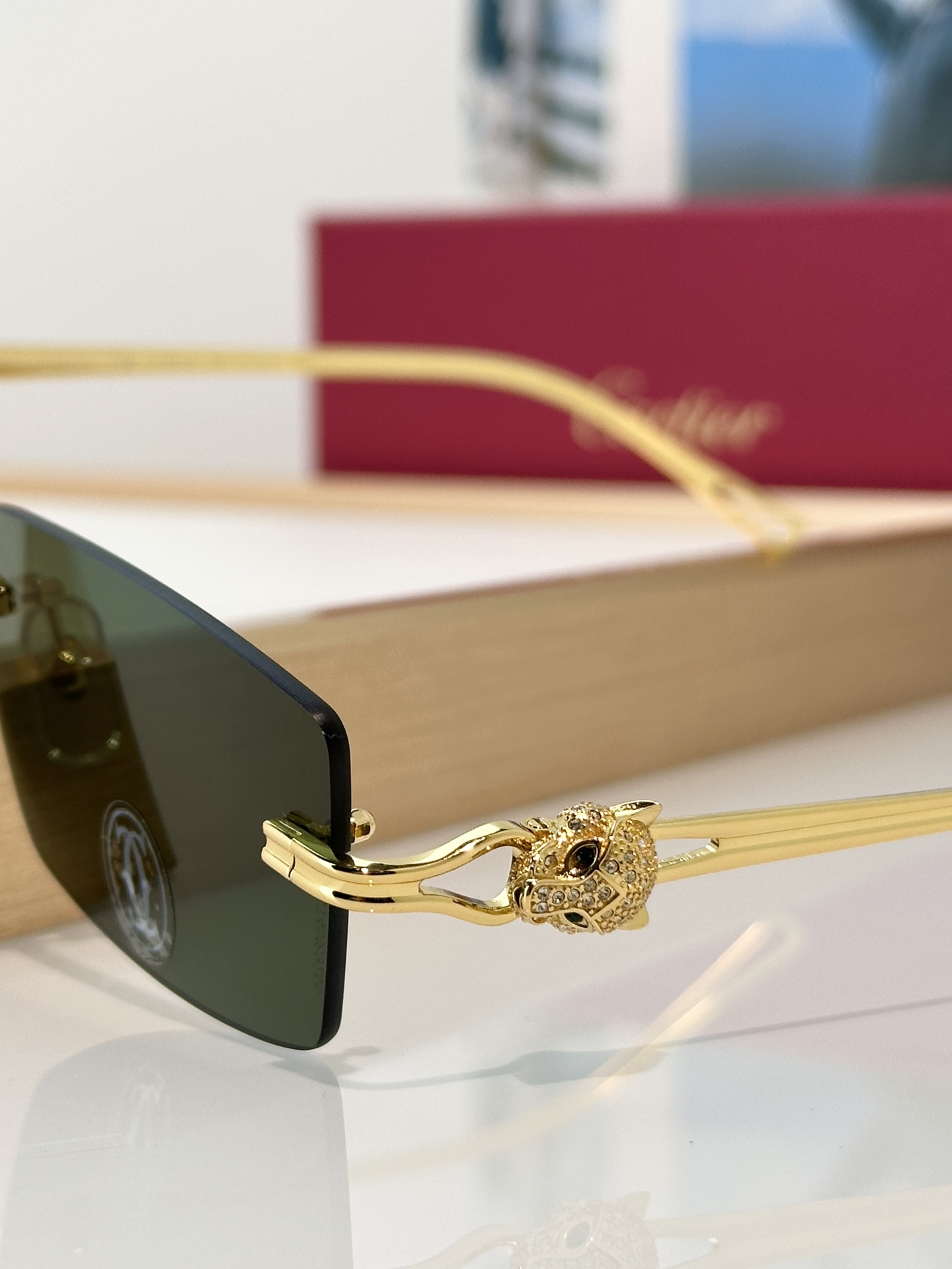 Designer Sunglasses CT0647S