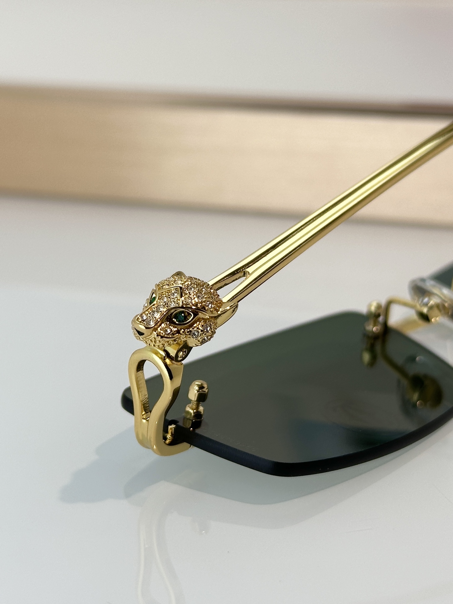 Designer Sunglasses CT0647S
