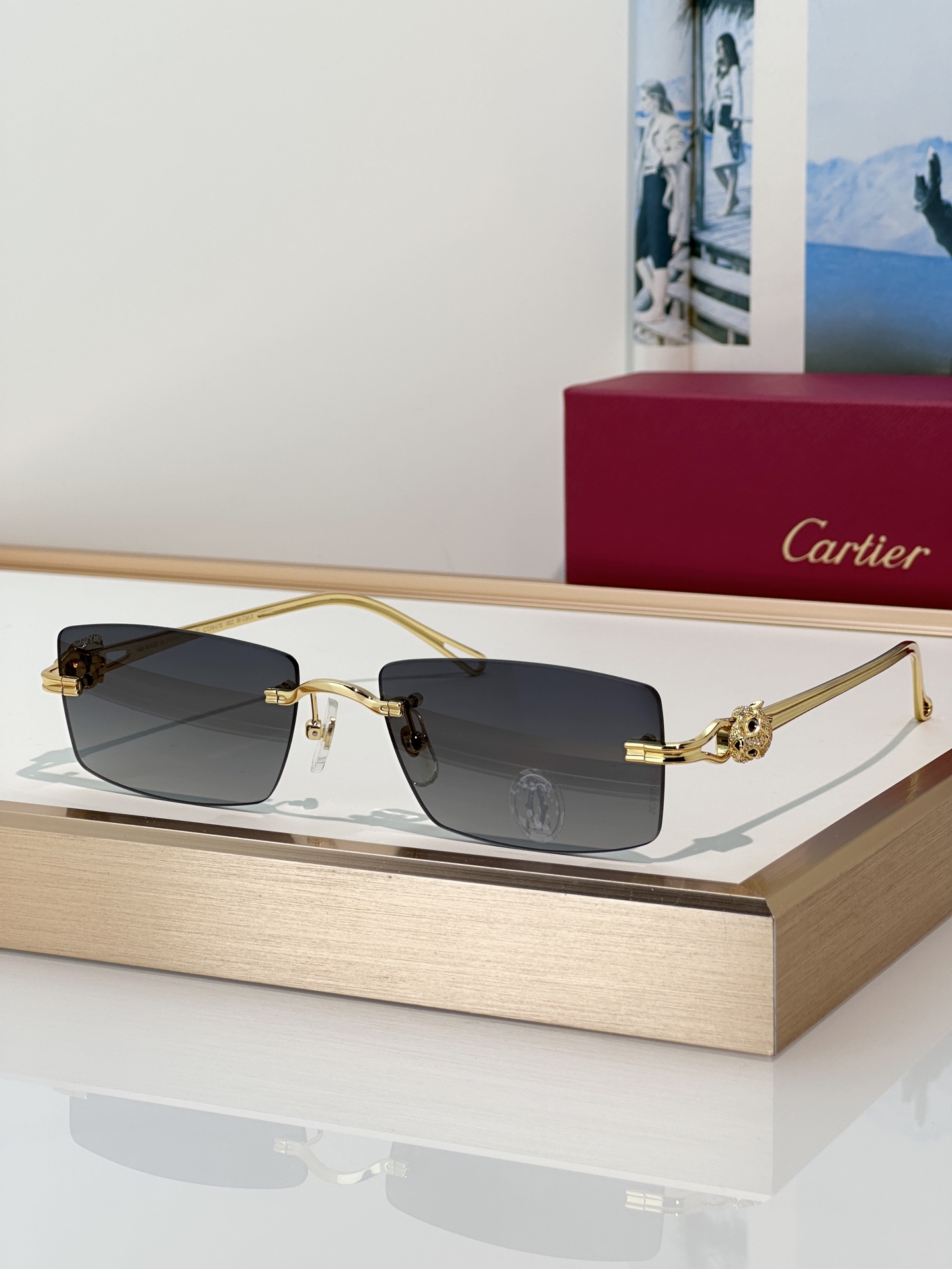 Designer Sunglasses CT0647S