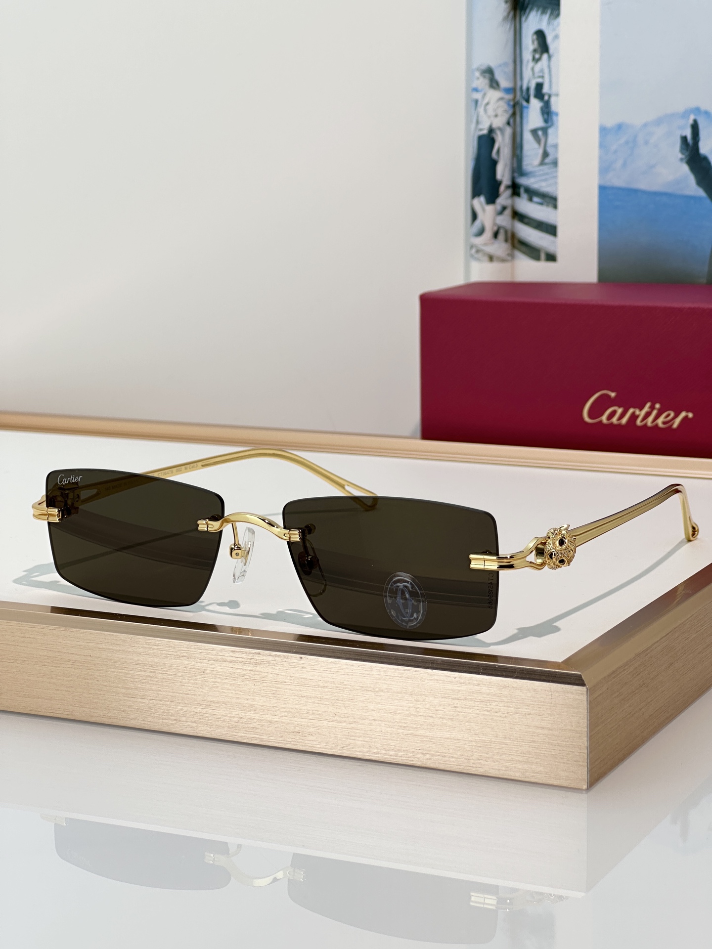 Designer Sunglasses CT0647S