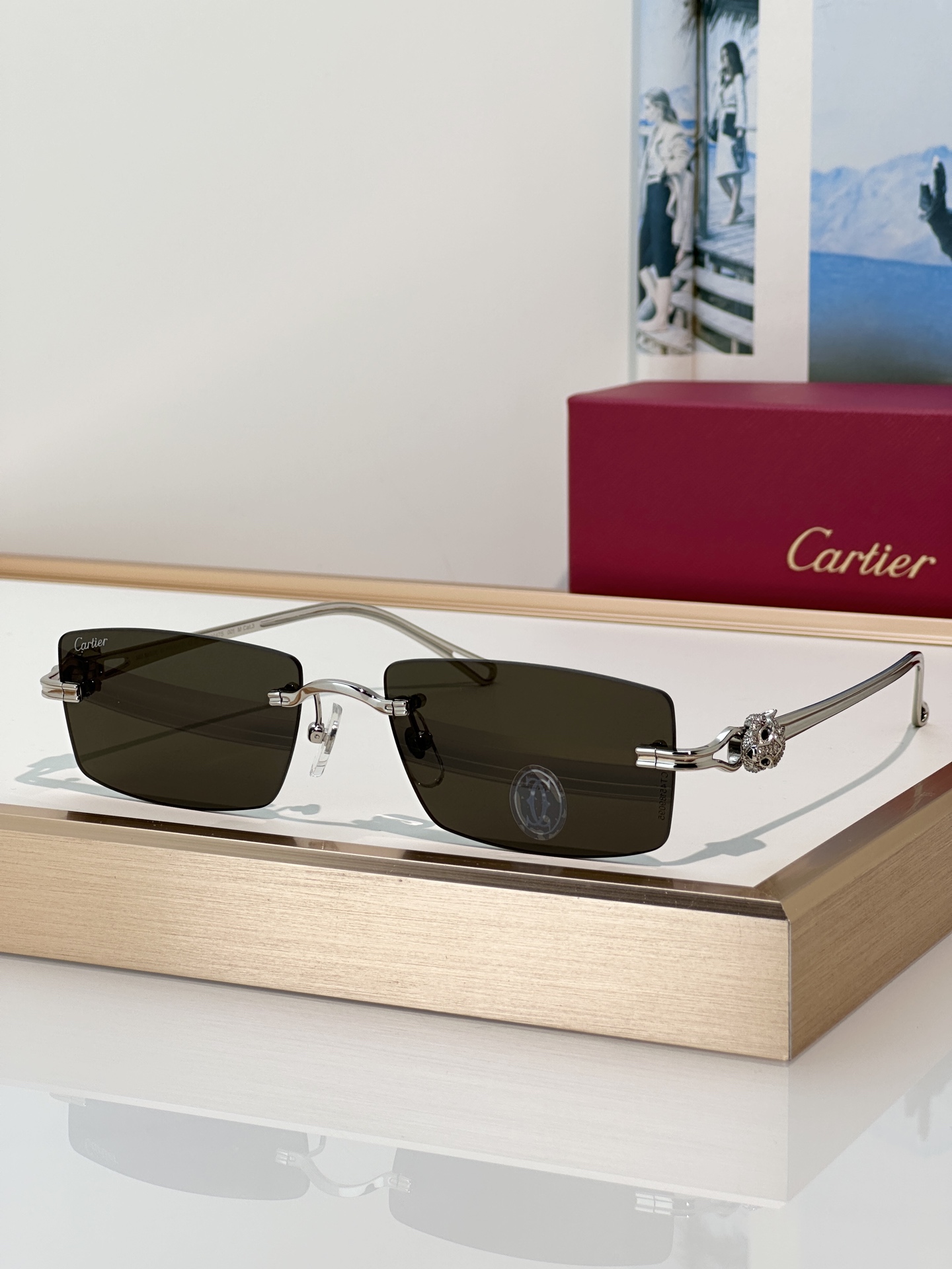 Designer Sunglasses CT0647S