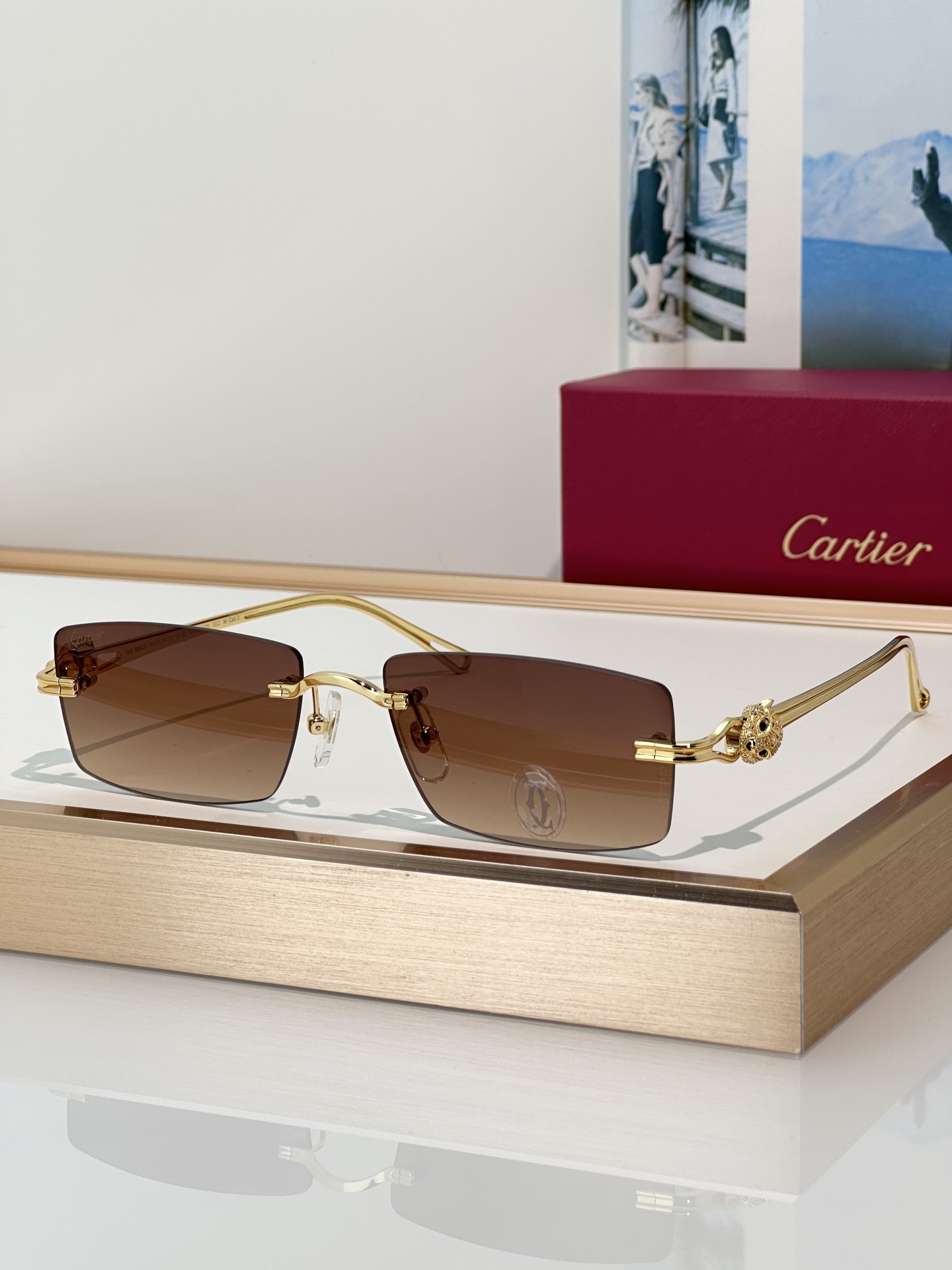 Designer Sunglasses CT0647S