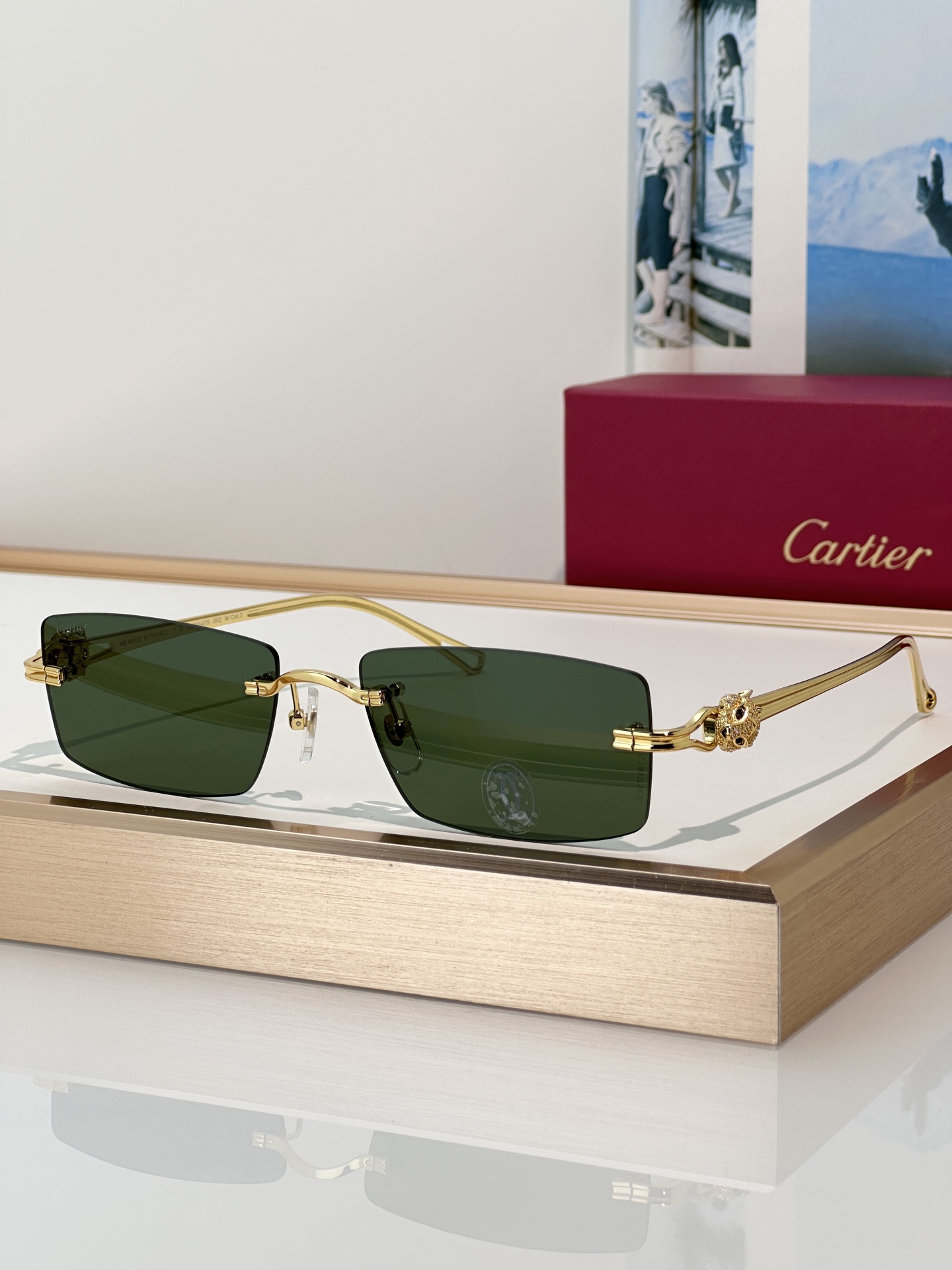 Designer Sunglasses CT0647S
