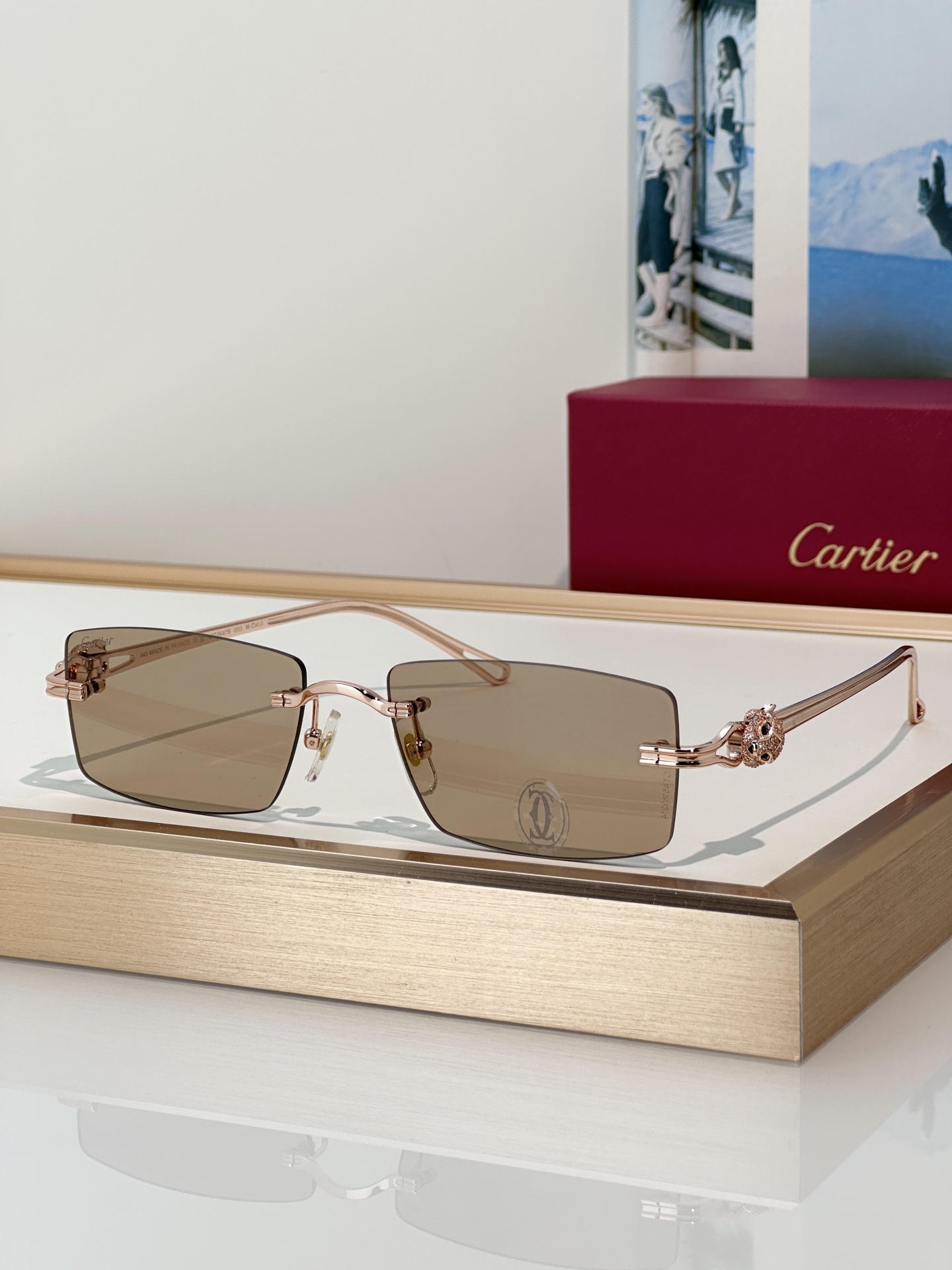 Designer Sunglasses CT0647S