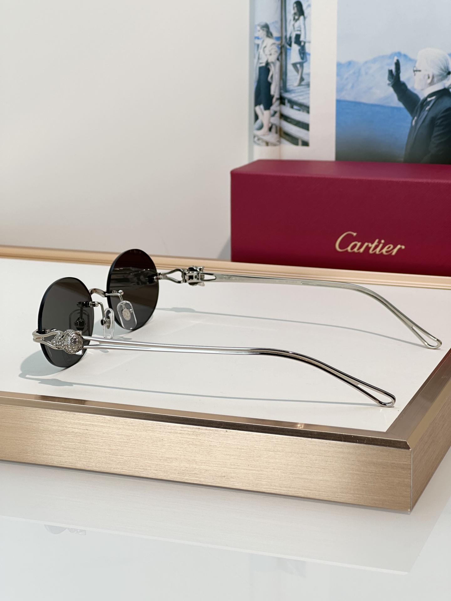 Designer Sunglasses CT0648S
