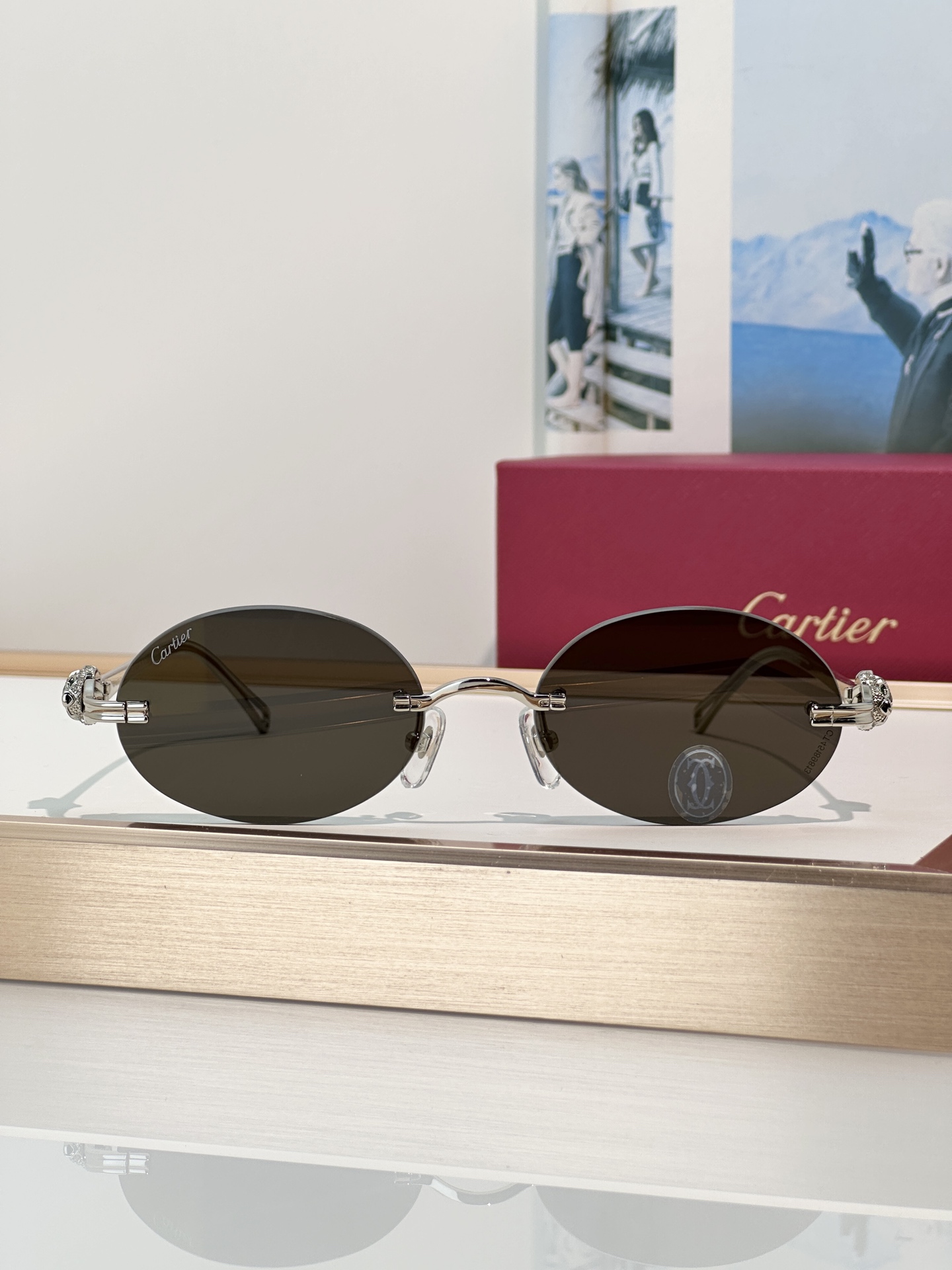 Designer Sunglasses CT0648S