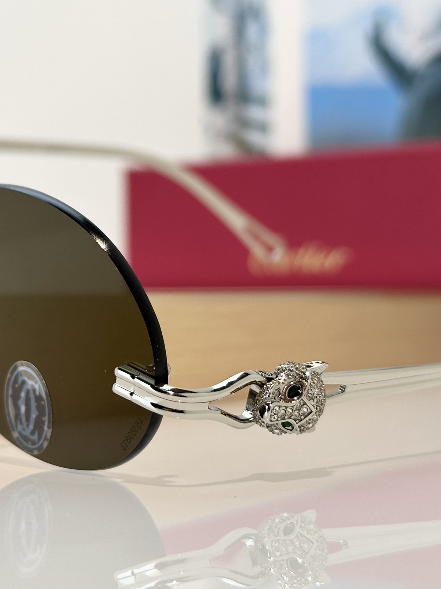 Designer Sunglasses CT0648S