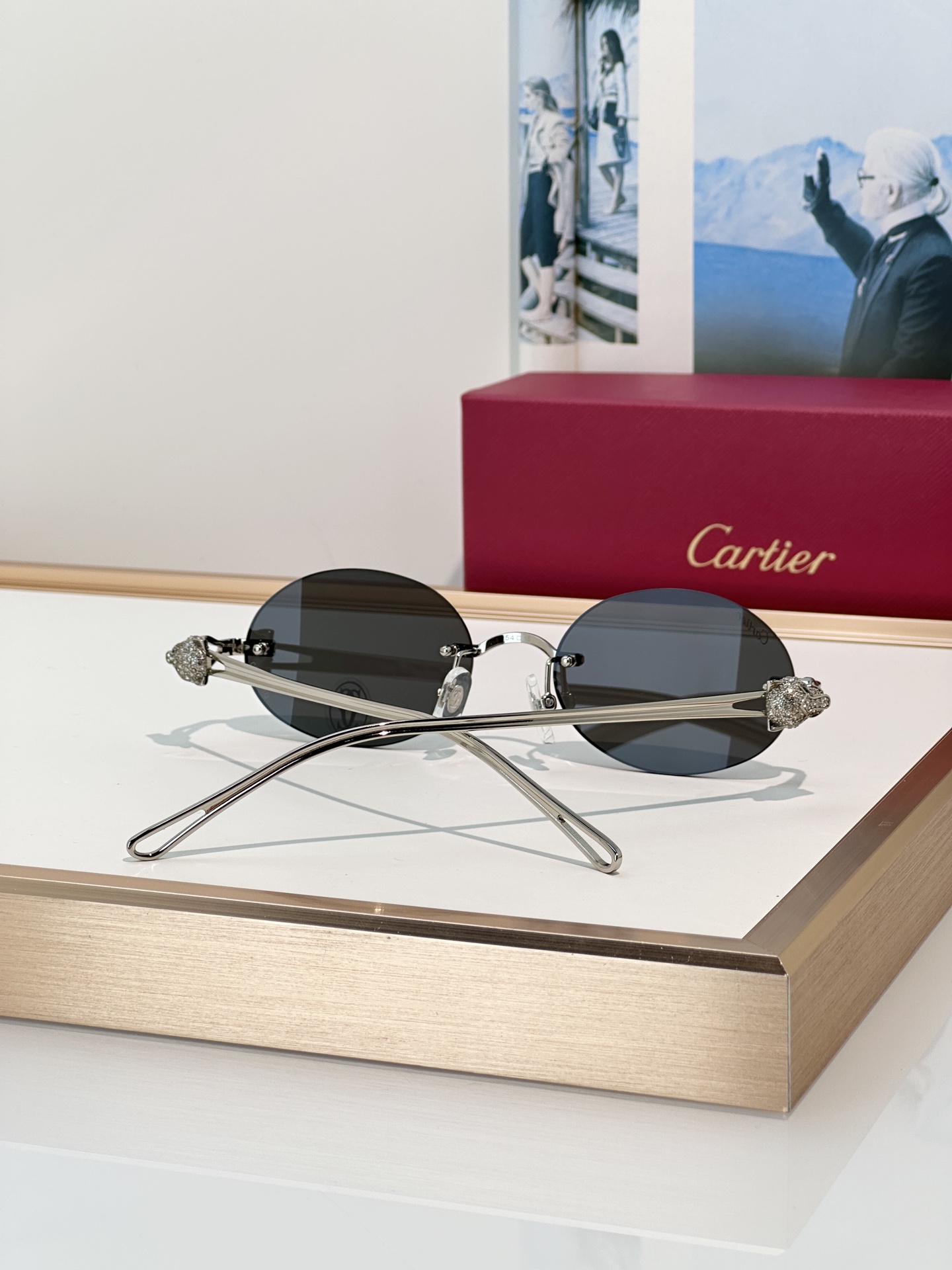 Designer Sunglasses CT0648S