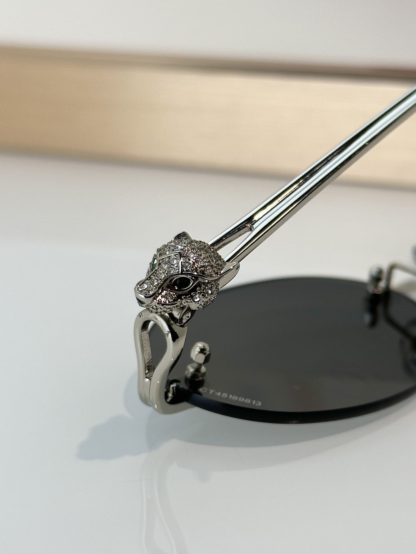 Designer Sunglasses CT0648S