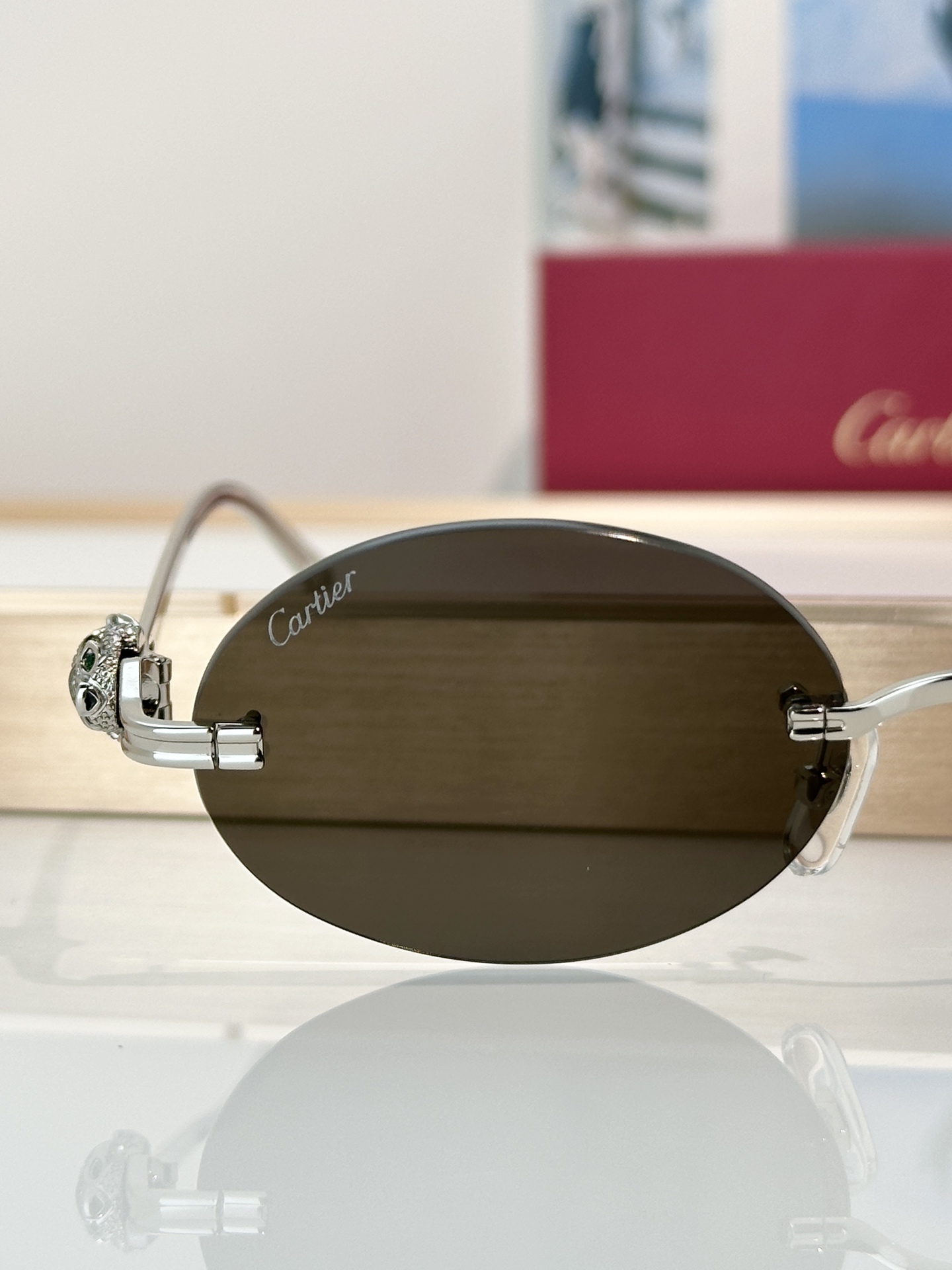 Designer Sunglasses CT0648S
