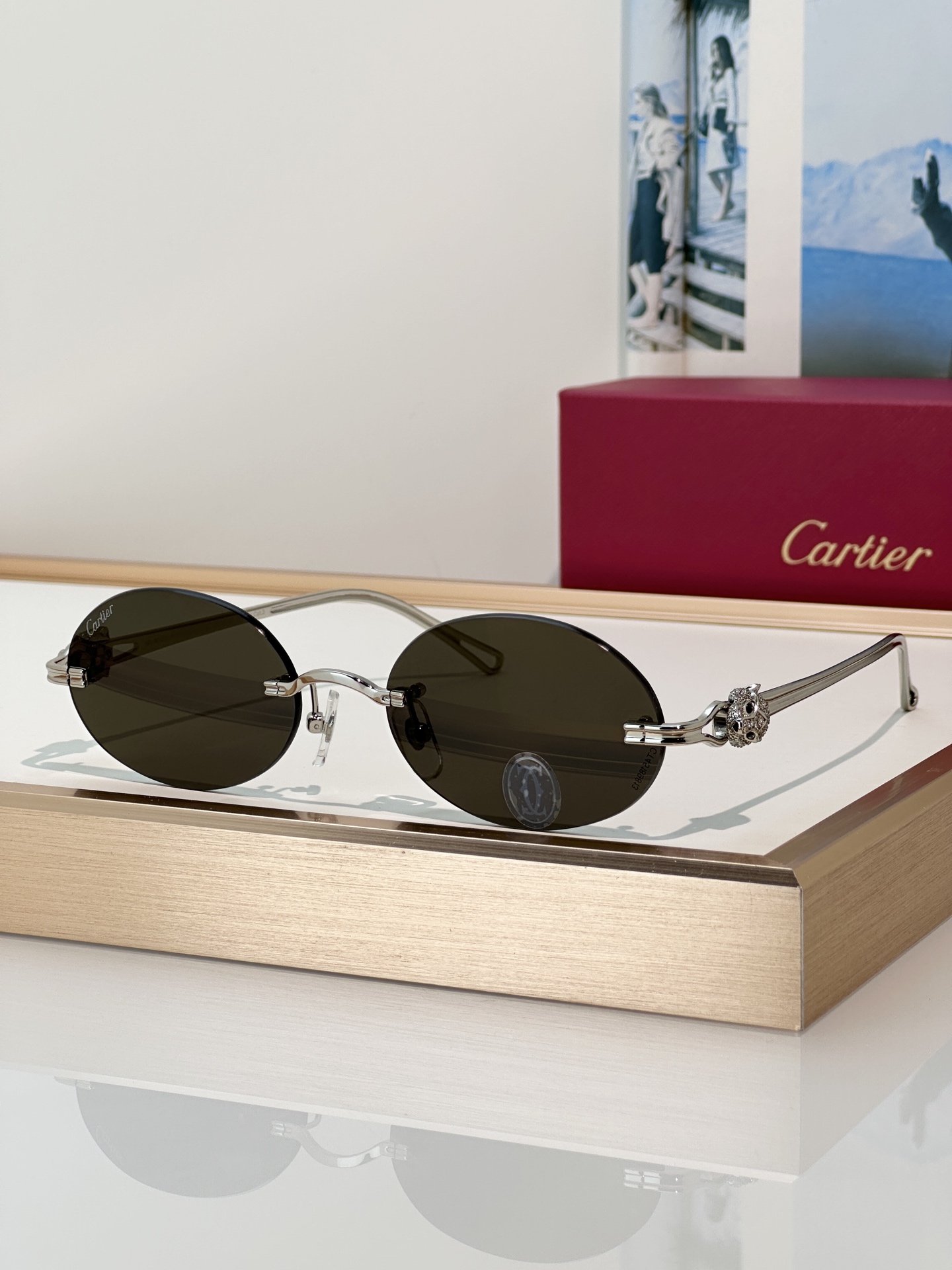 Designer Sunglasses CT0648S