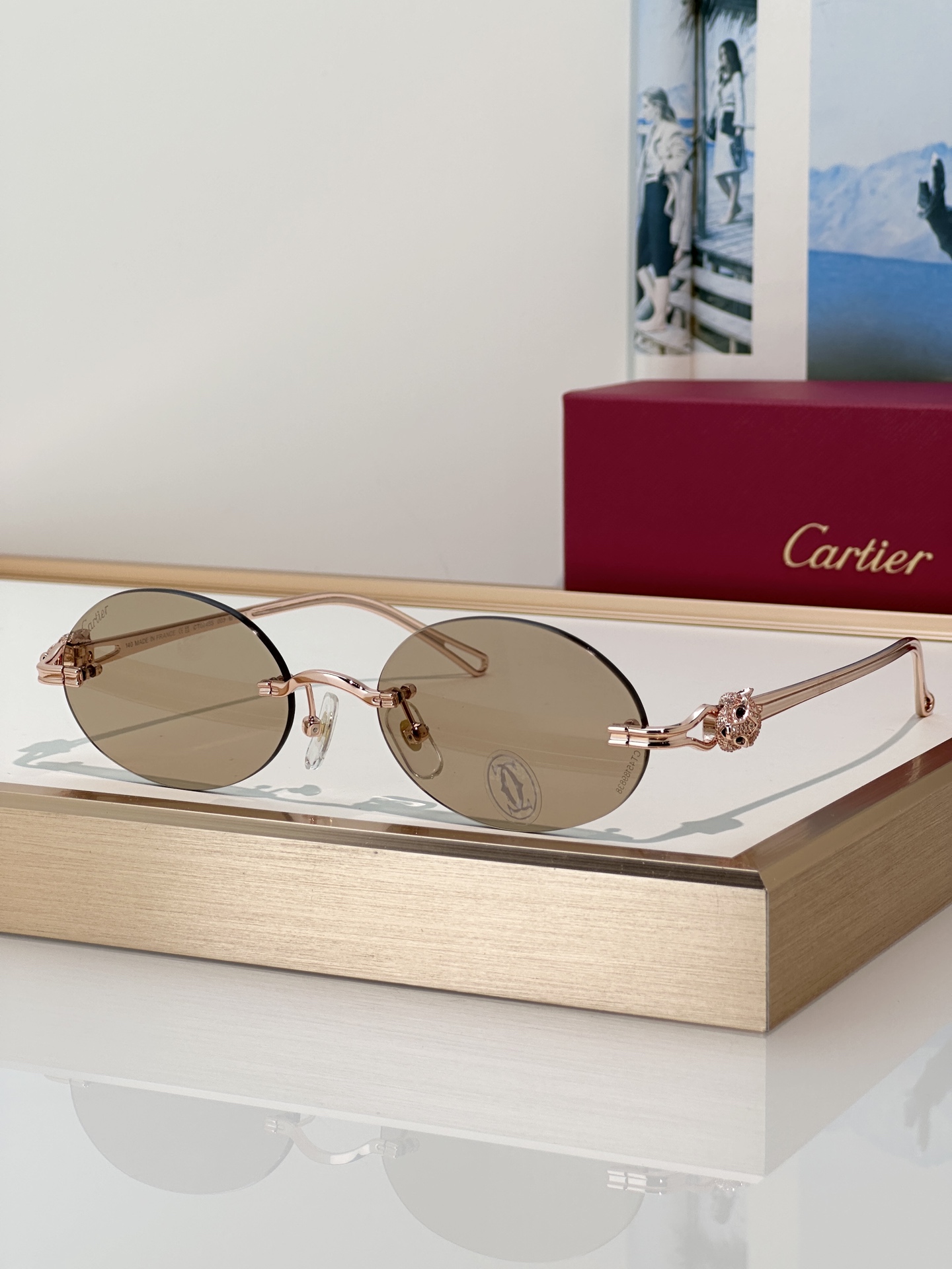 Designer Sunglasses CT0648S