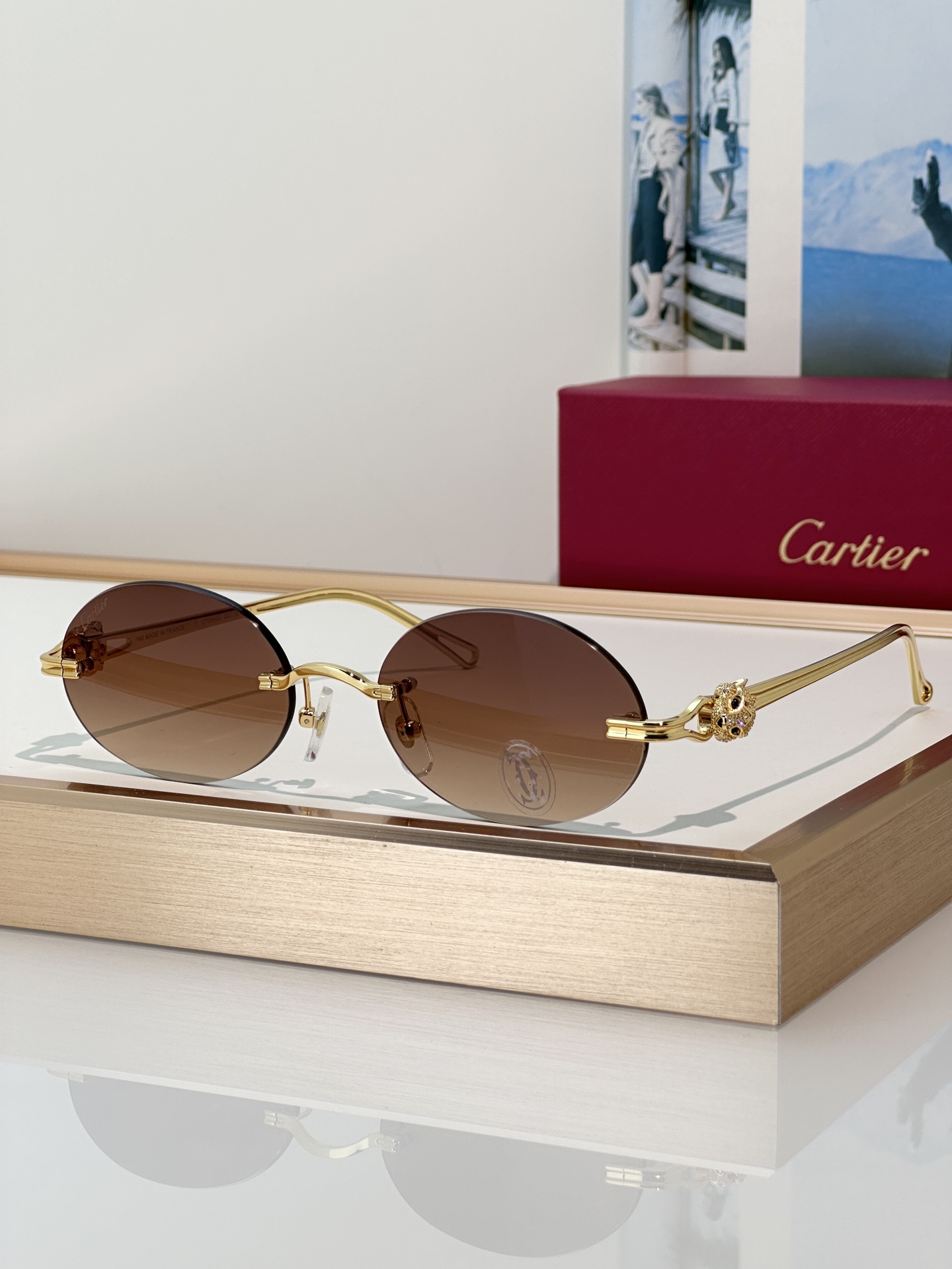 Designer Sunglasses CT0648S