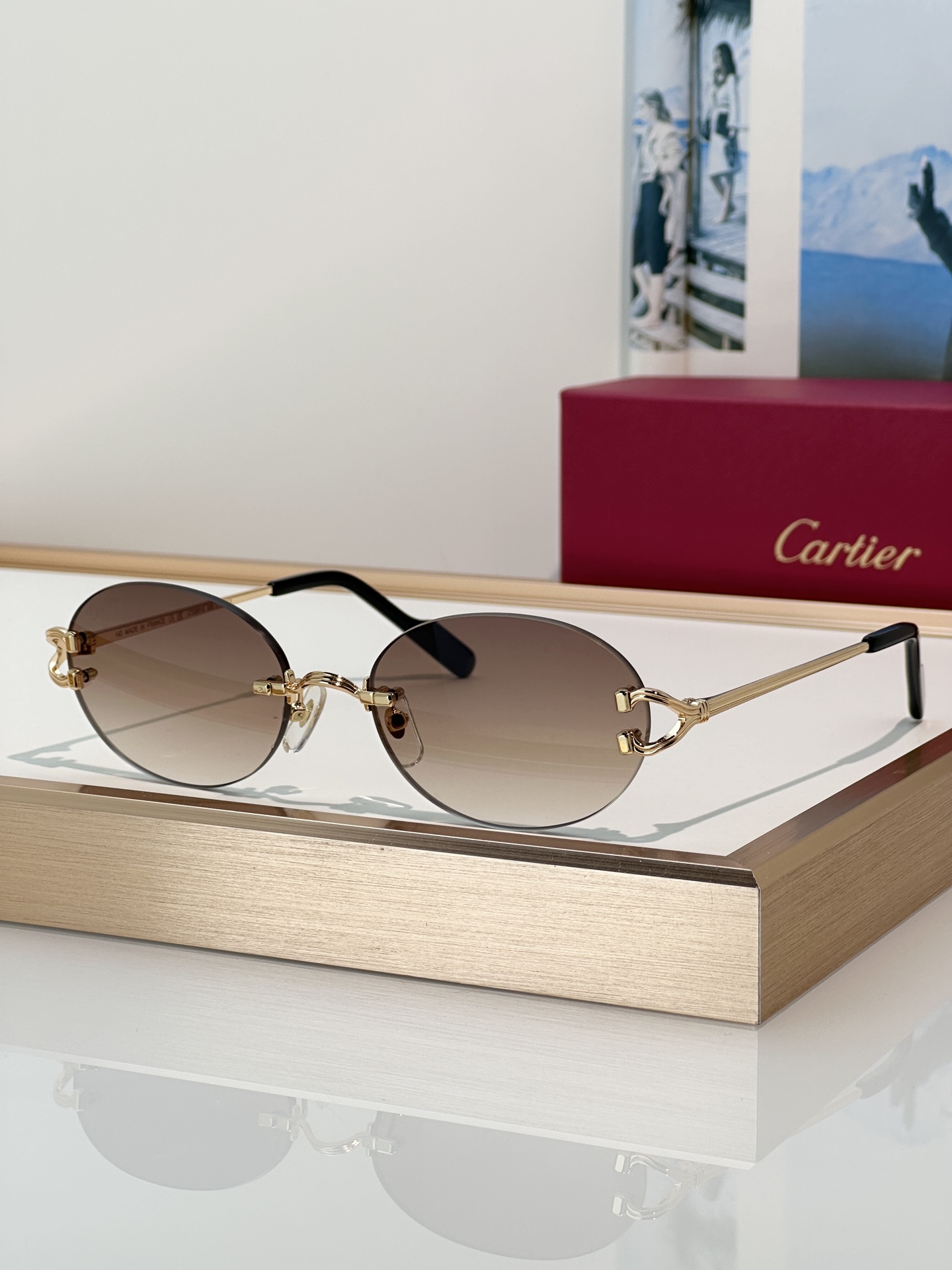 Designer Sunglasses CT0551S