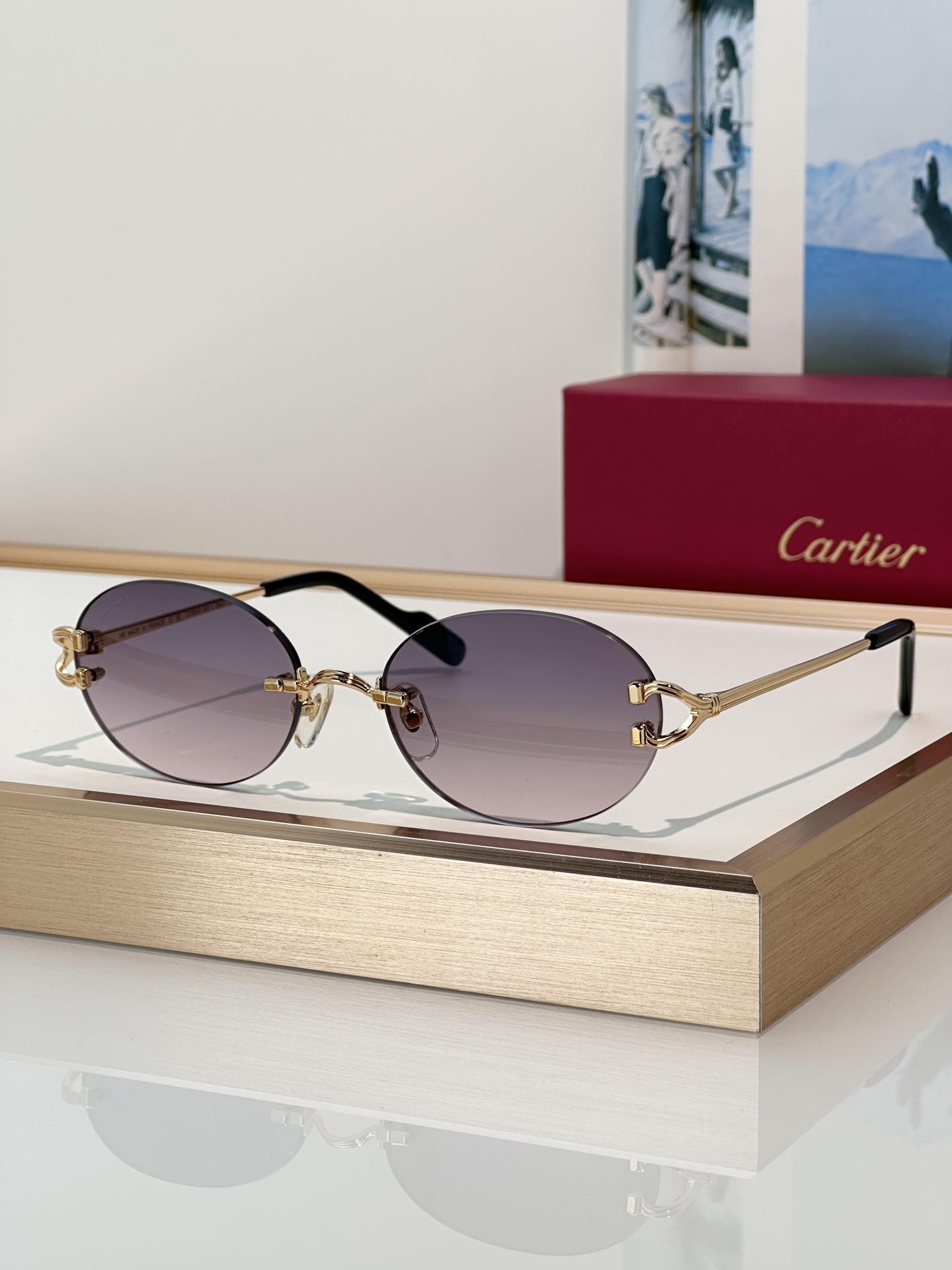Designer Sunglasses CT0551S