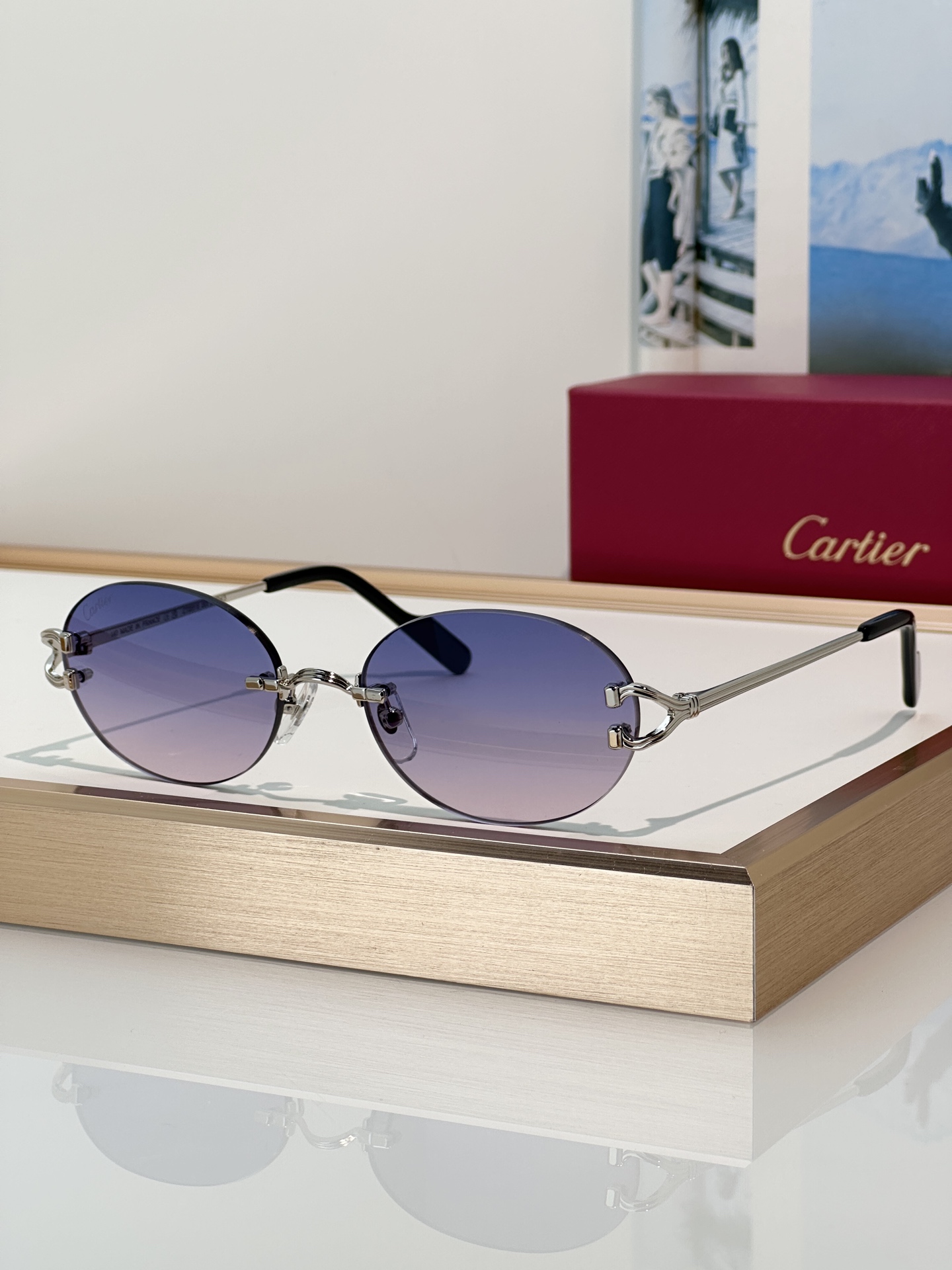 Designer Sunglasses CT0551S