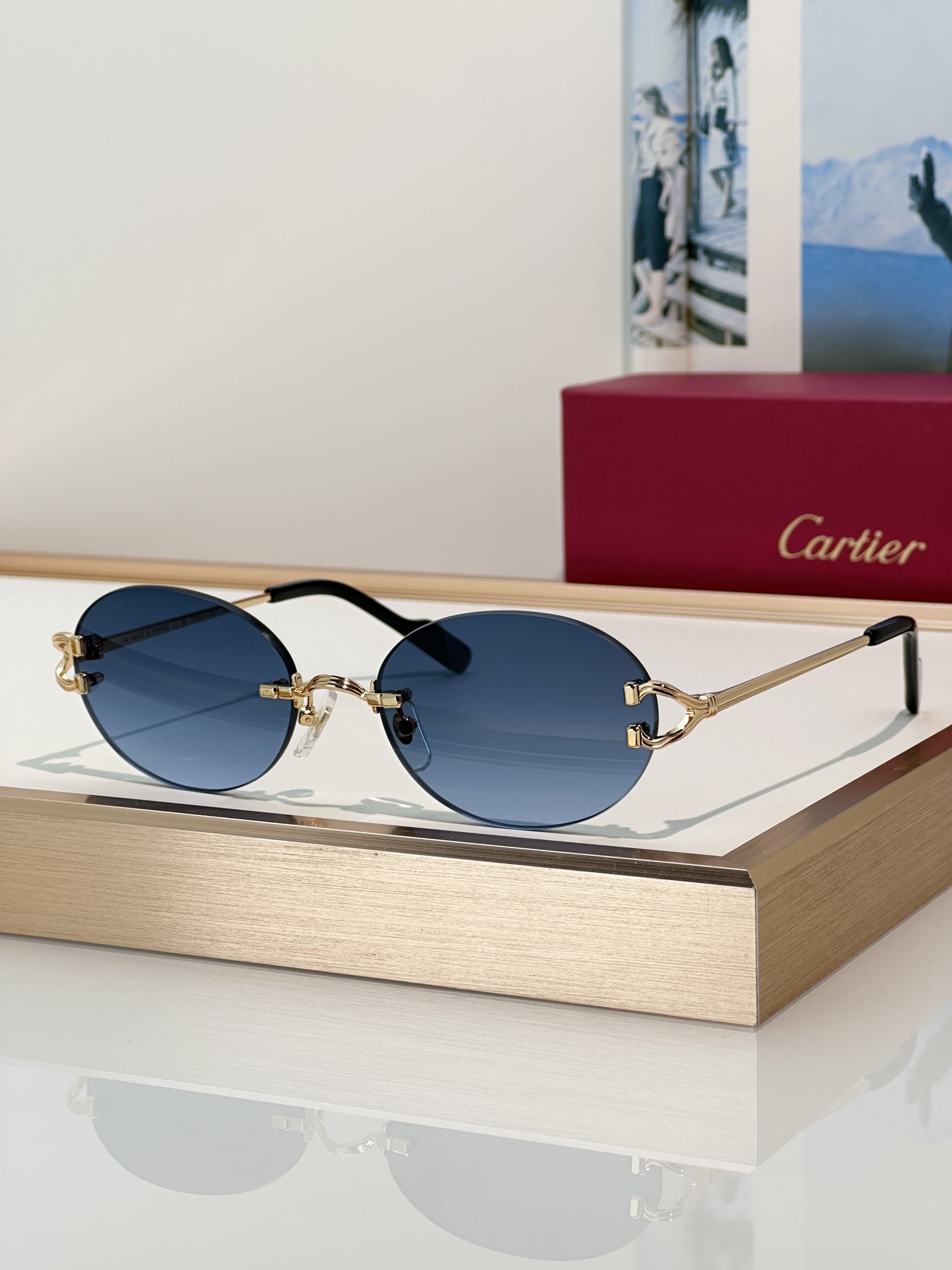 Designer Sunglasses CT0551S