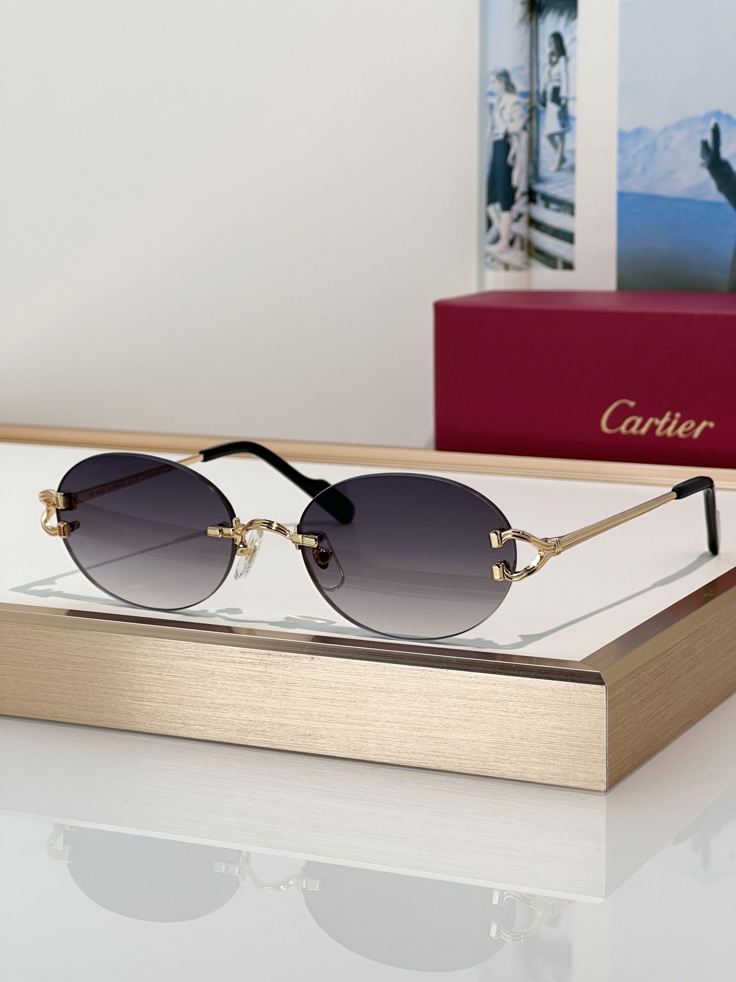 Designer Sunglasses CT0551S