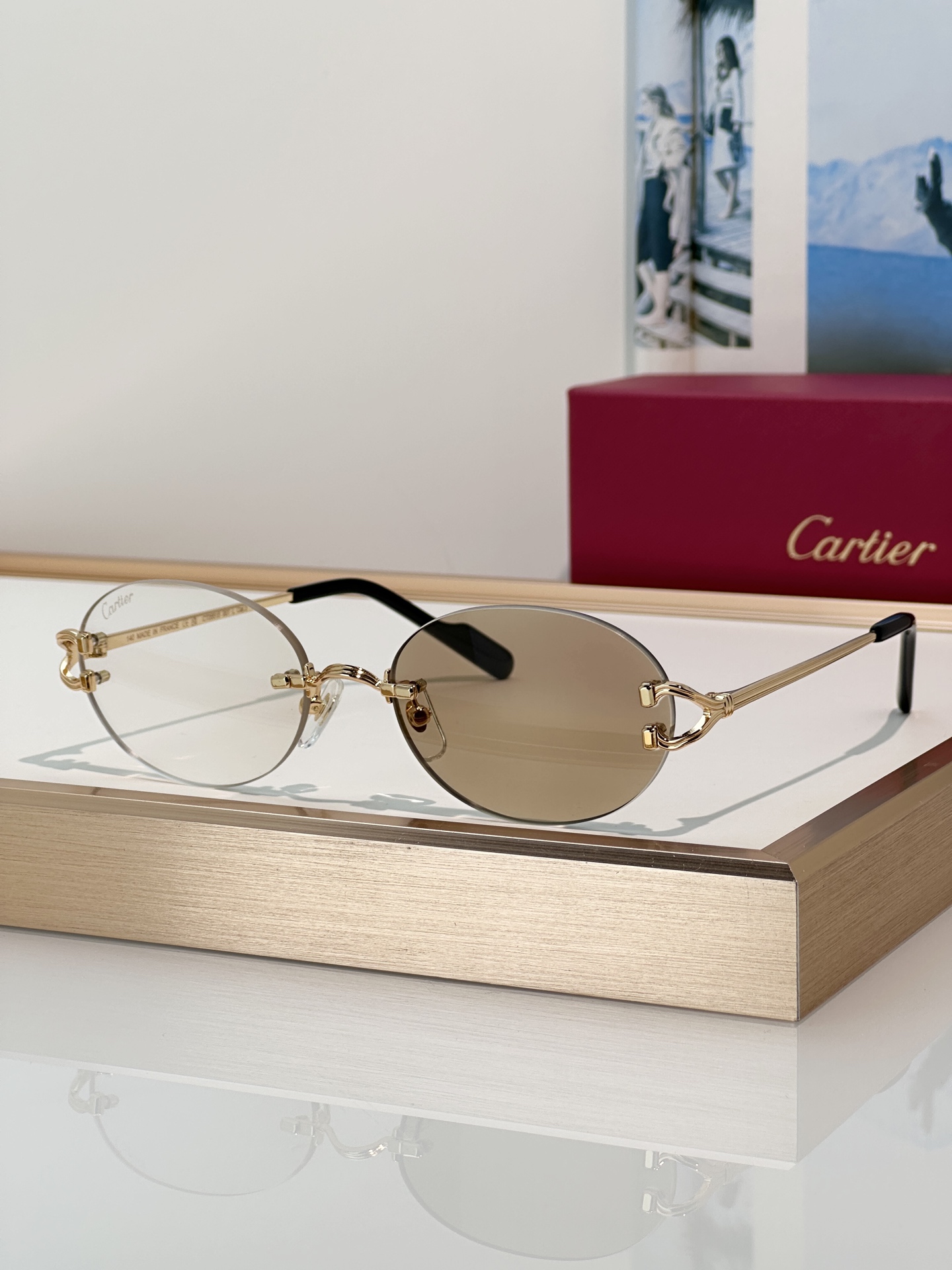 Designer Sunglasses CT0551S