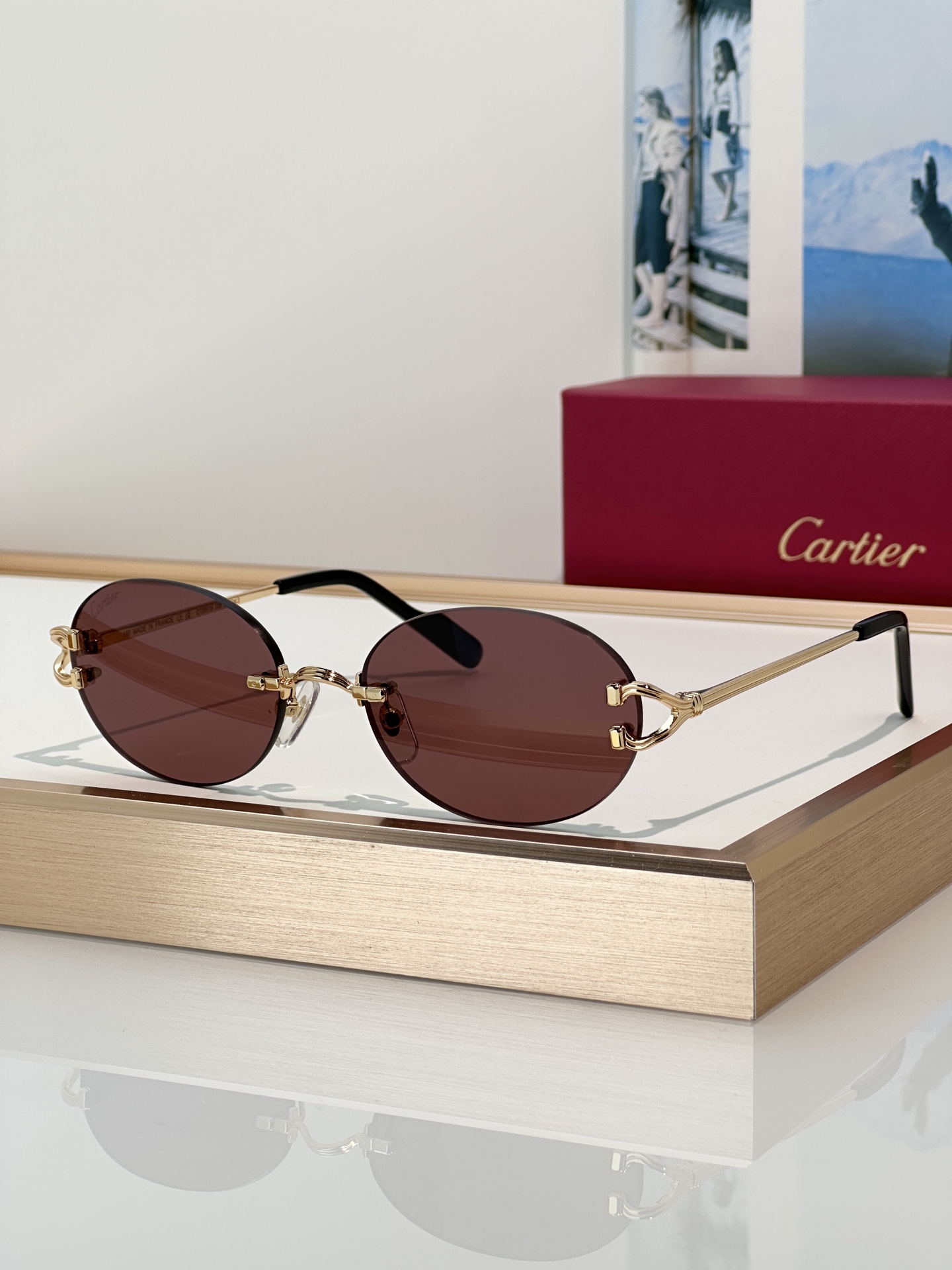 Designer Sunglasses CT0551S