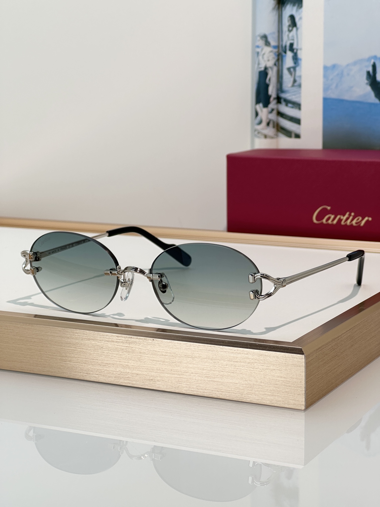Designer Sunglasses CT0551S