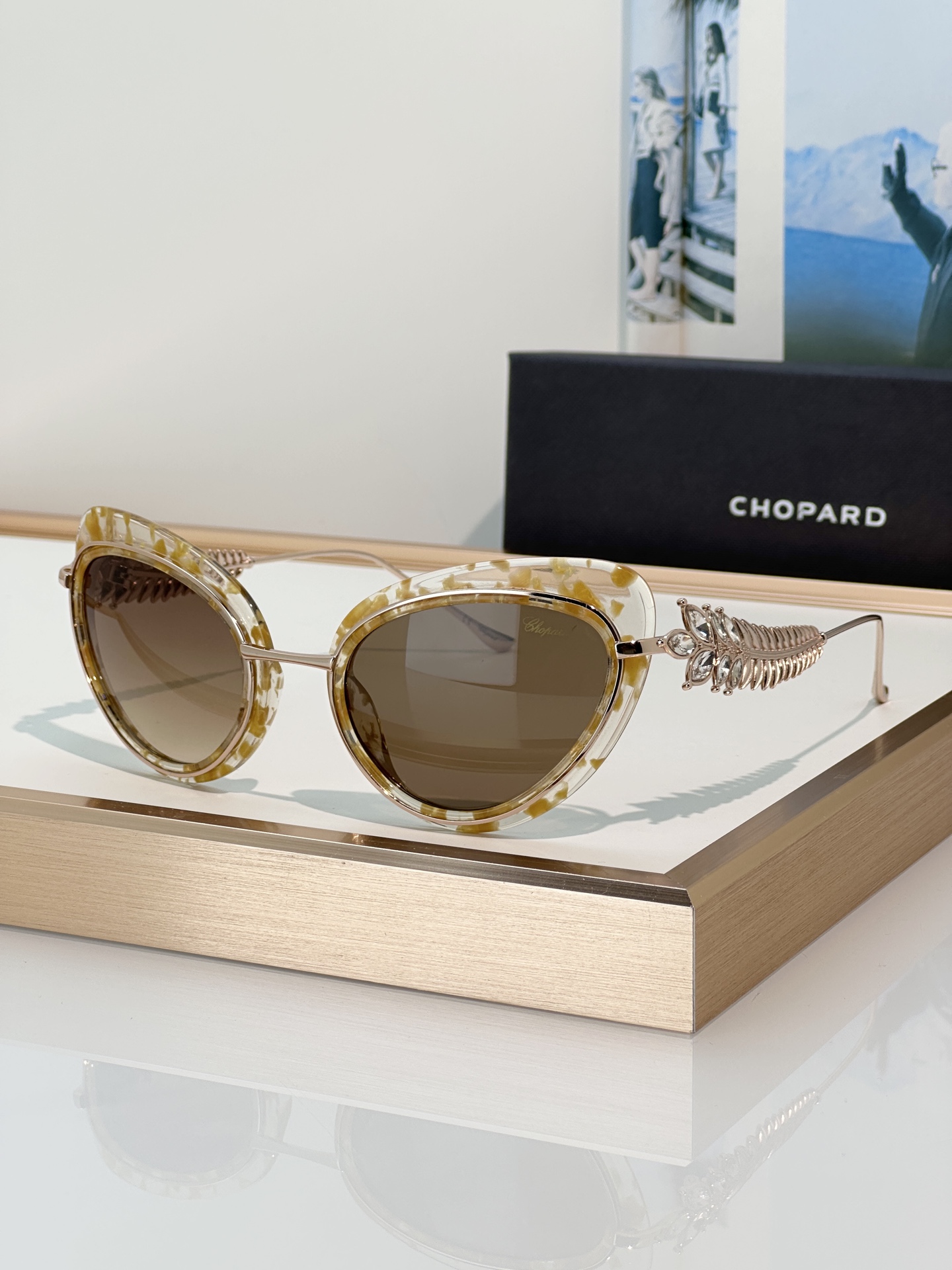 Designer Sunglasses SCHD39