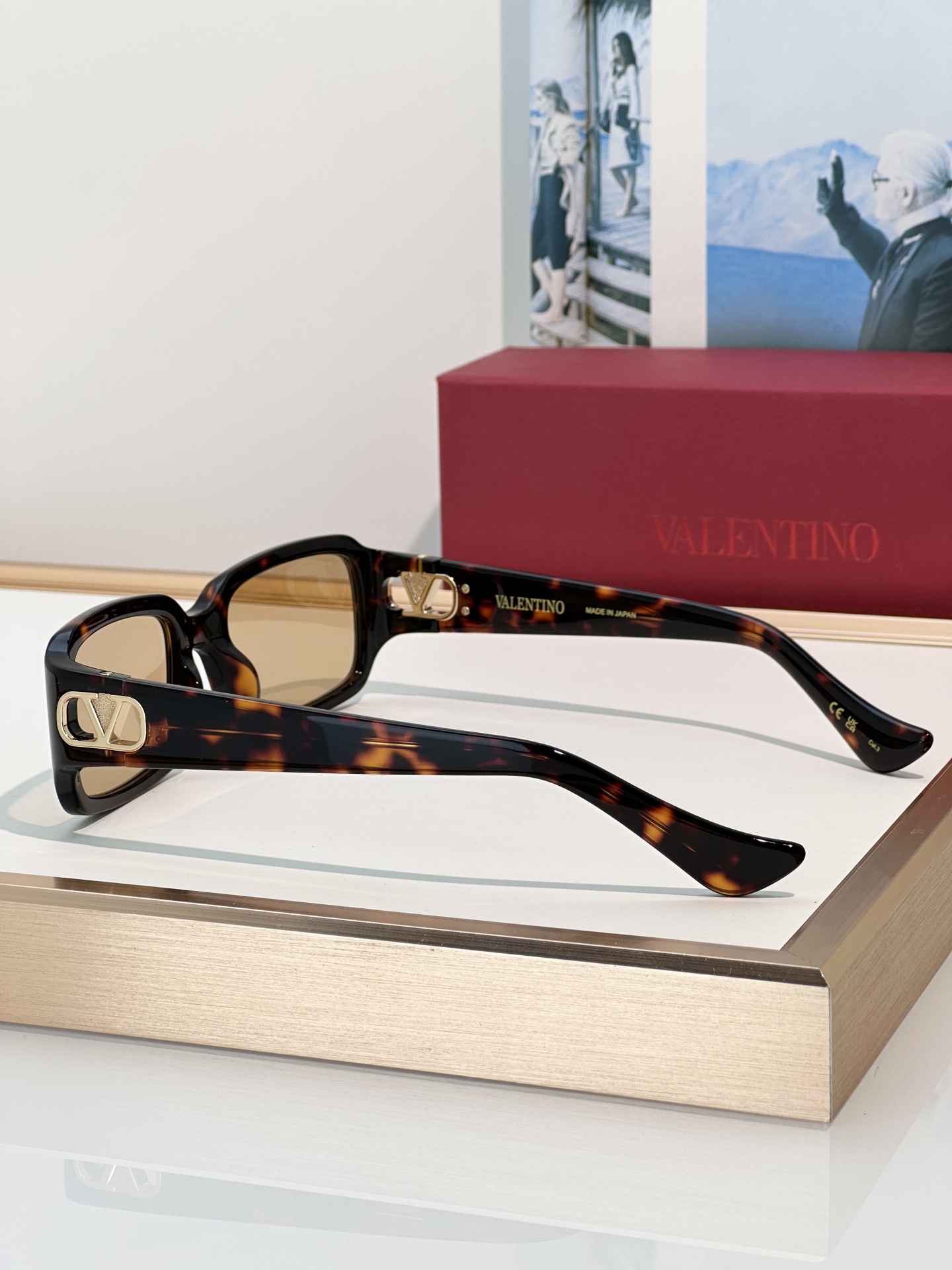 Designer Sunglasses VG0016S