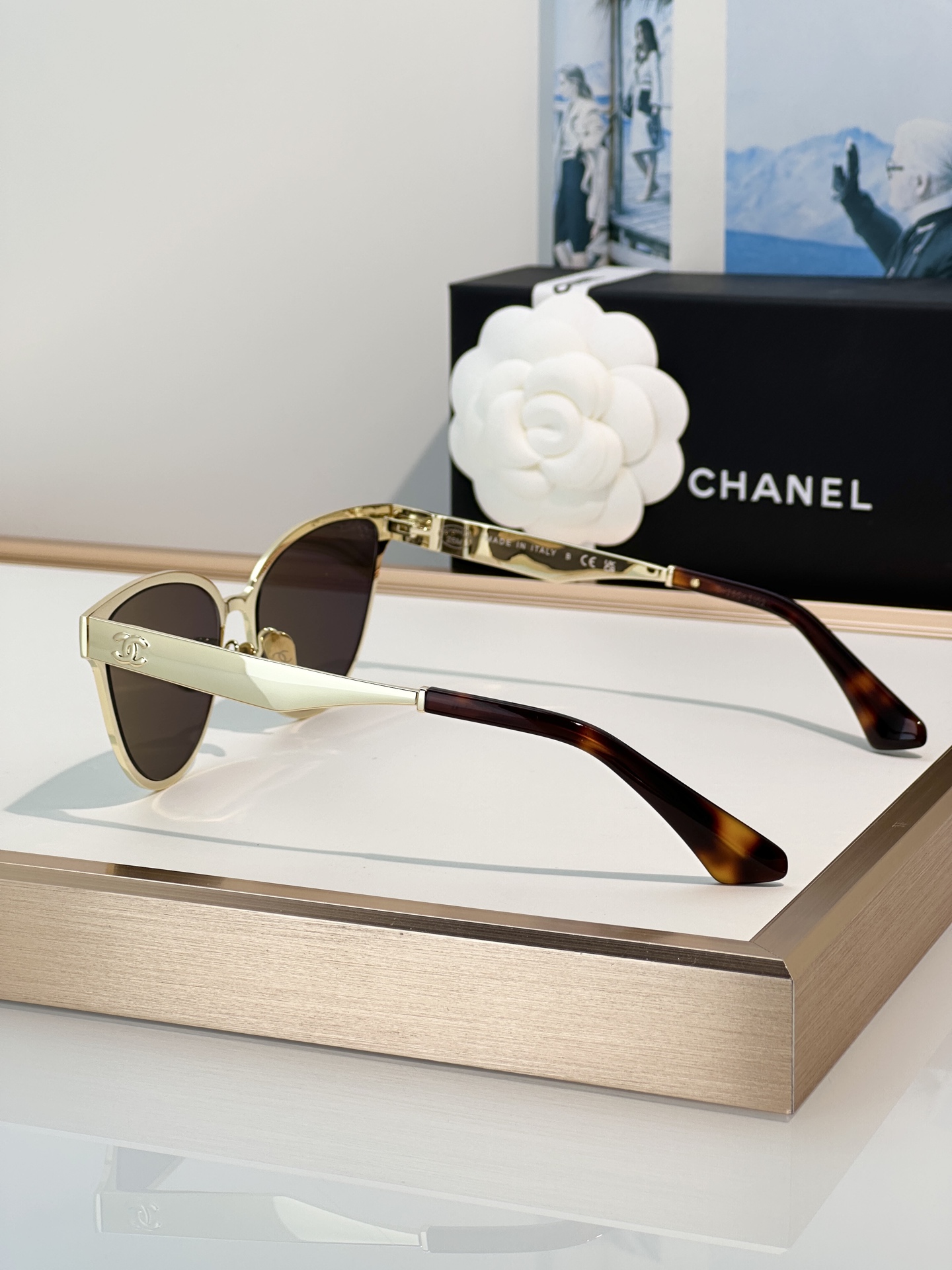 Chanel Sunglasses 9587