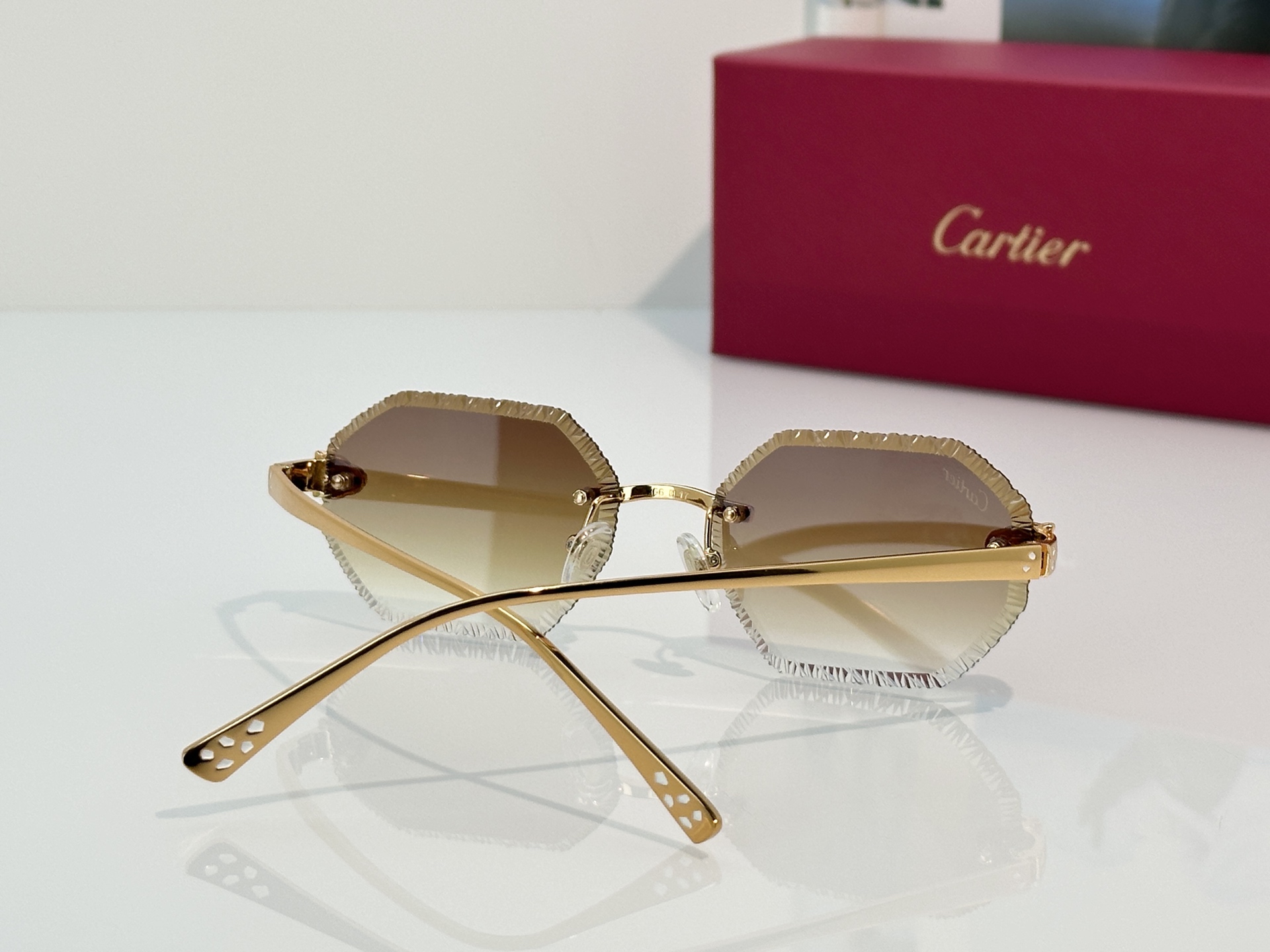 Designer Sunglasses CT7449S