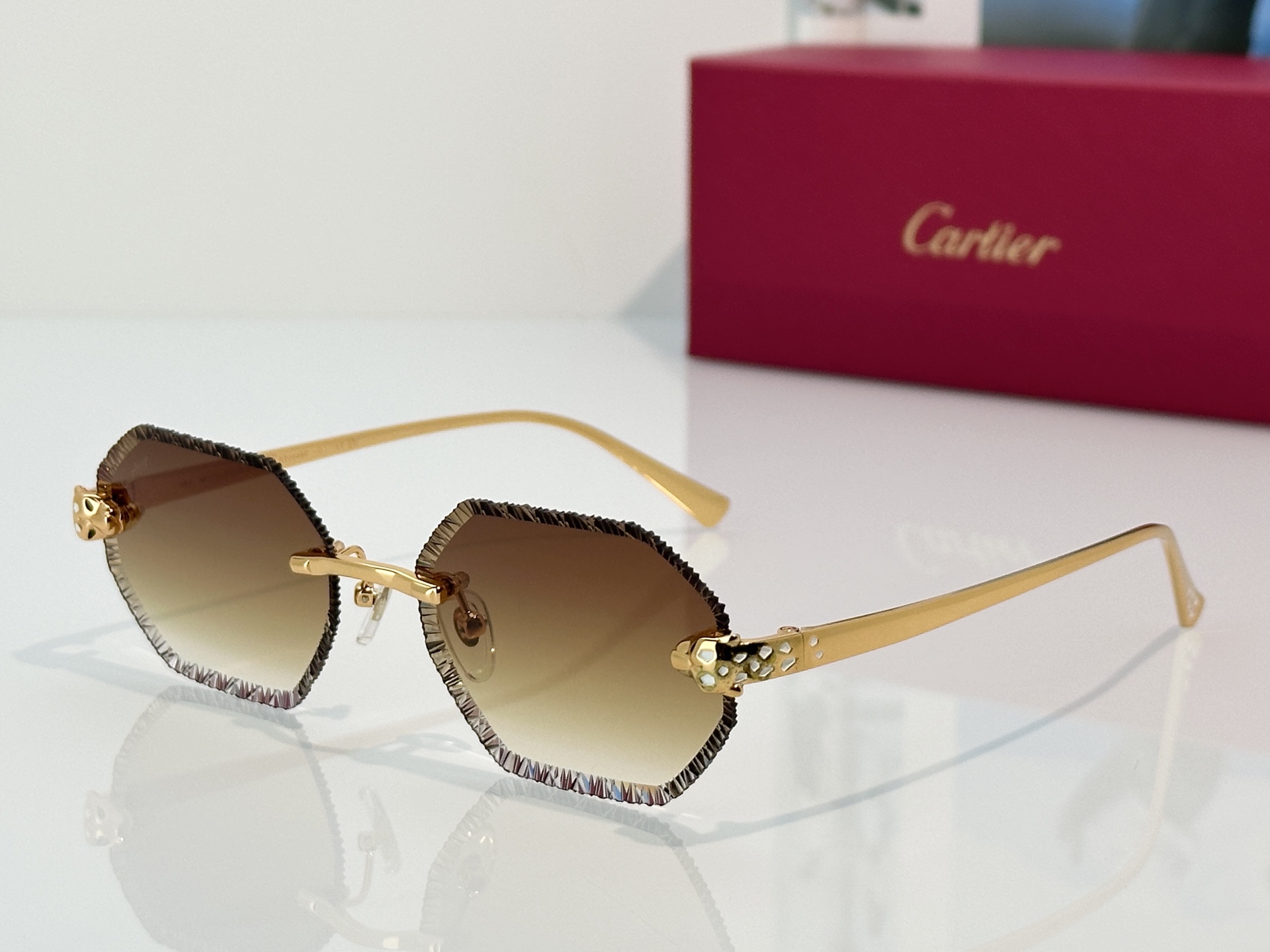 Designer Sunglasses CT7449S