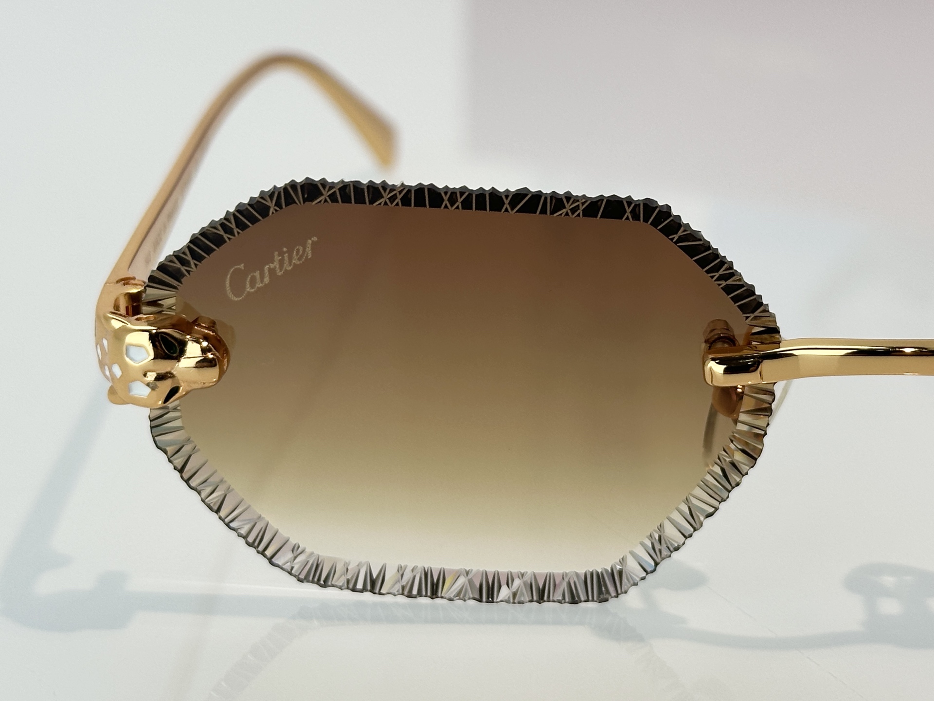 Designer Sunglasses CT7449S