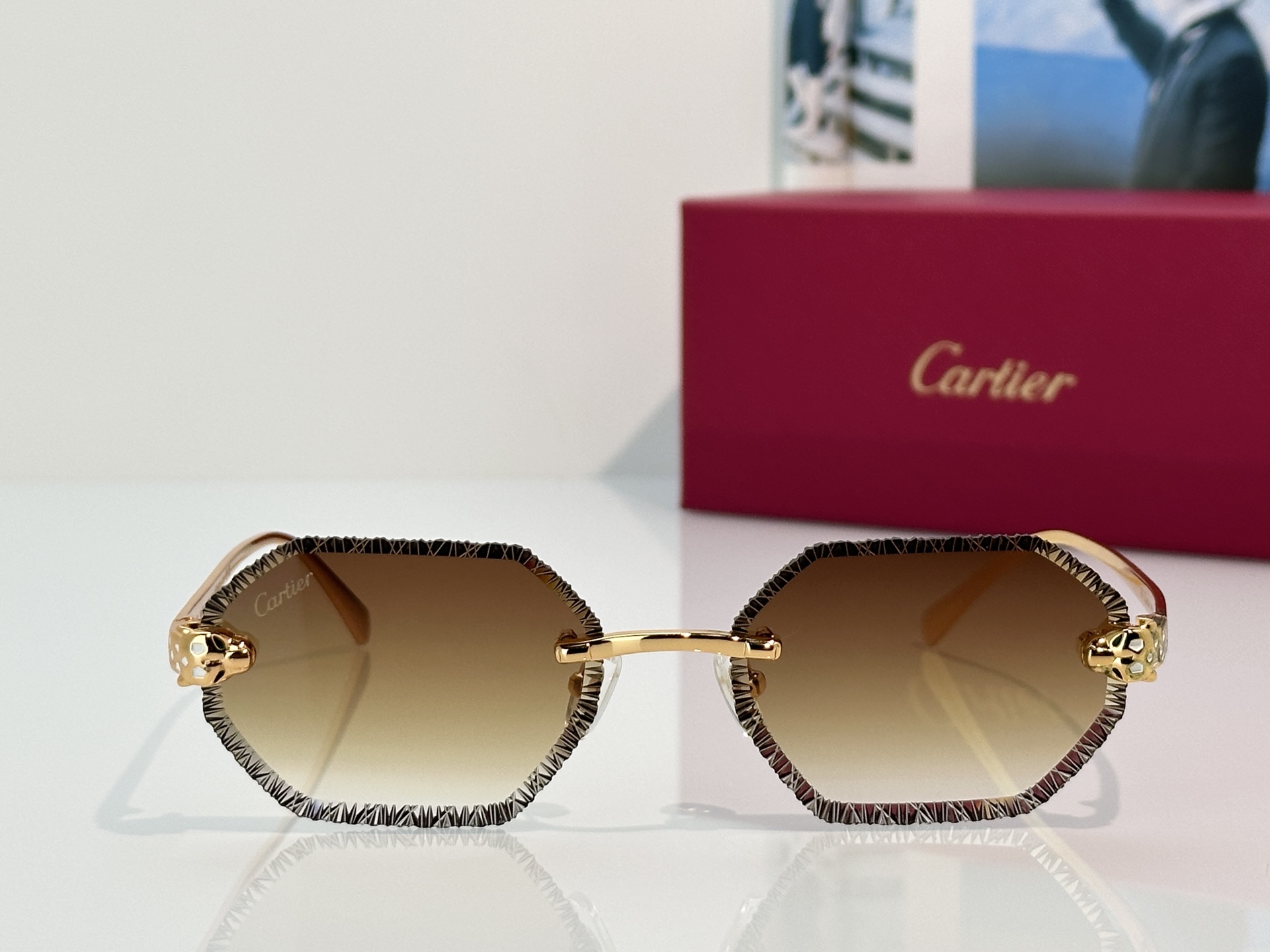 Designer Sunglasses CT7449S