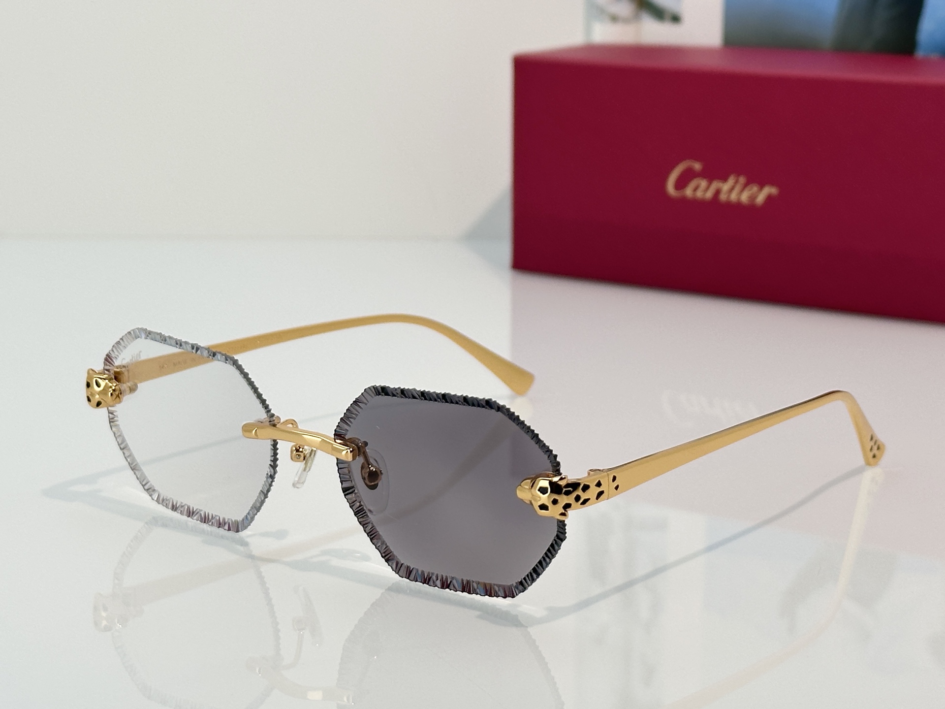 Designer Sunglasses CT7449S