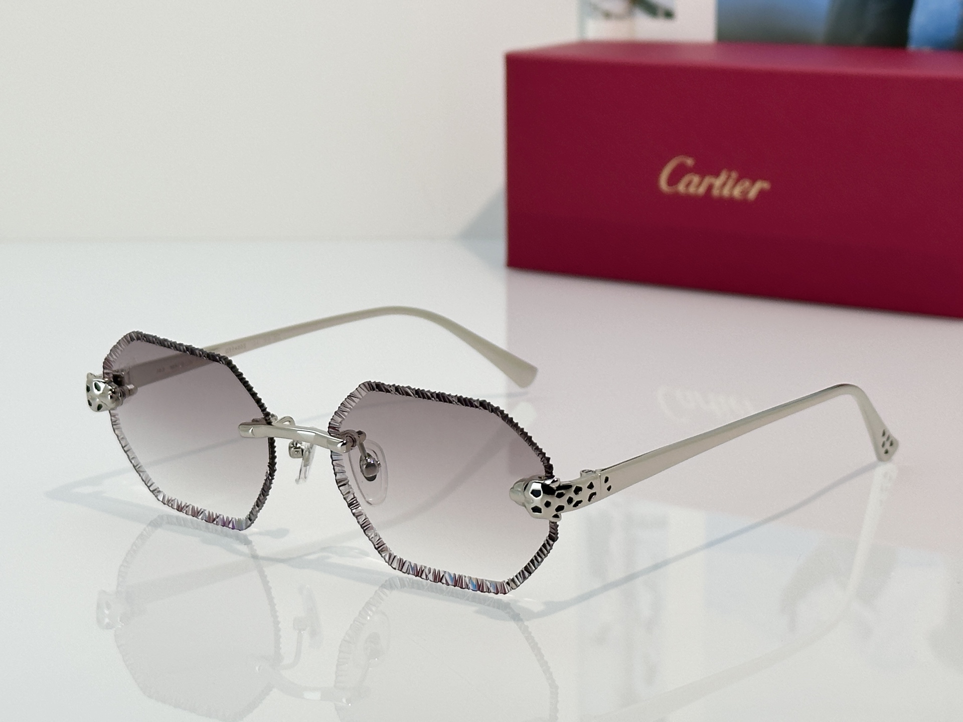 Designer Sunglasses CT7449S