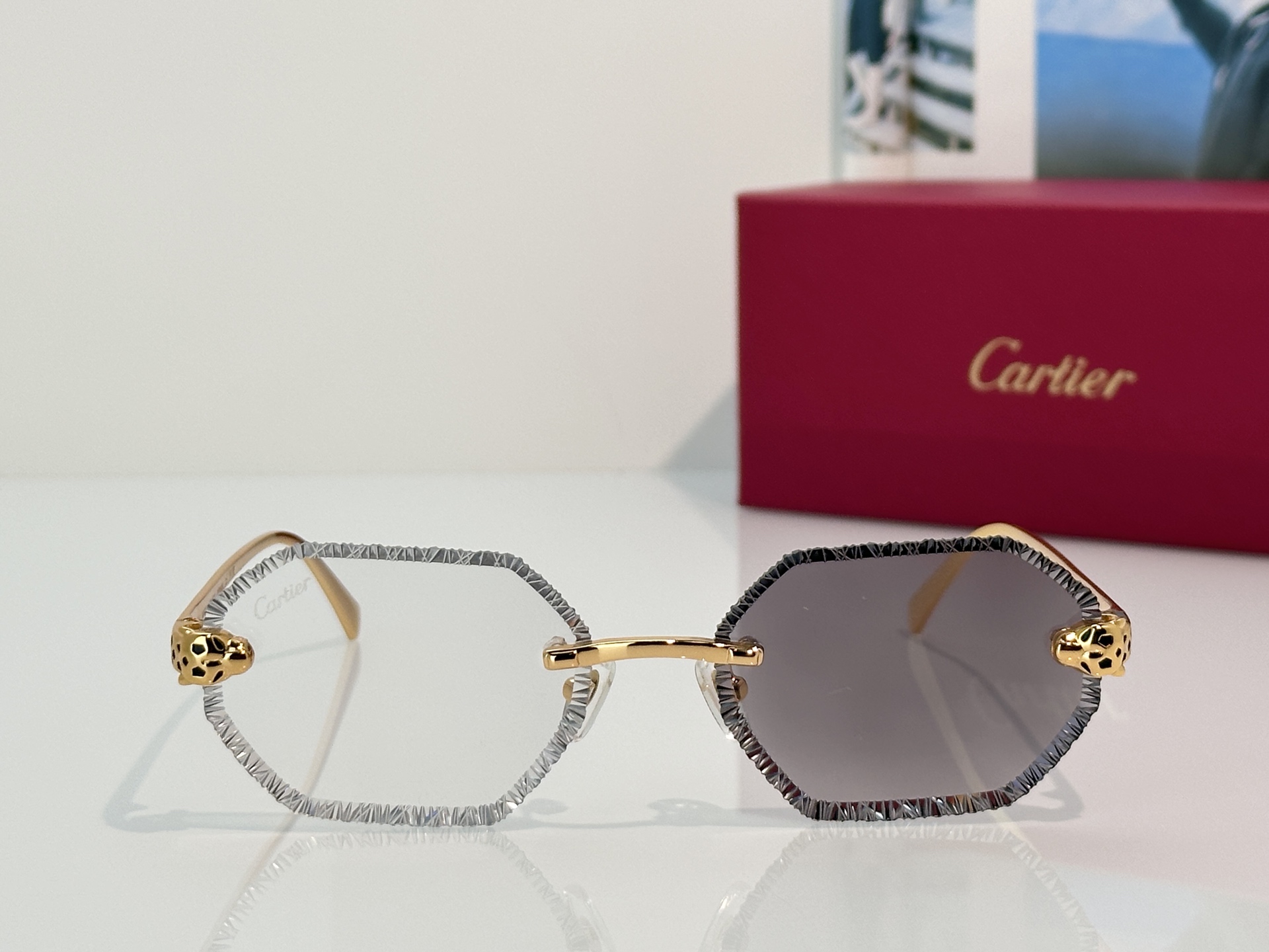 Designer Sunglasses CT7449S