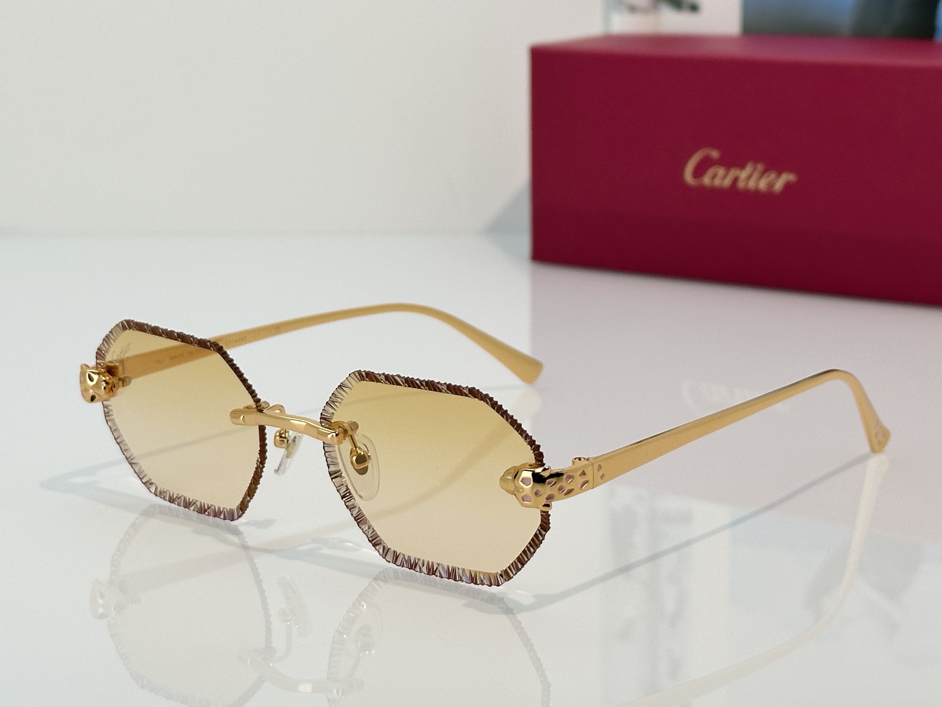 Designer Sunglasses CT7449S