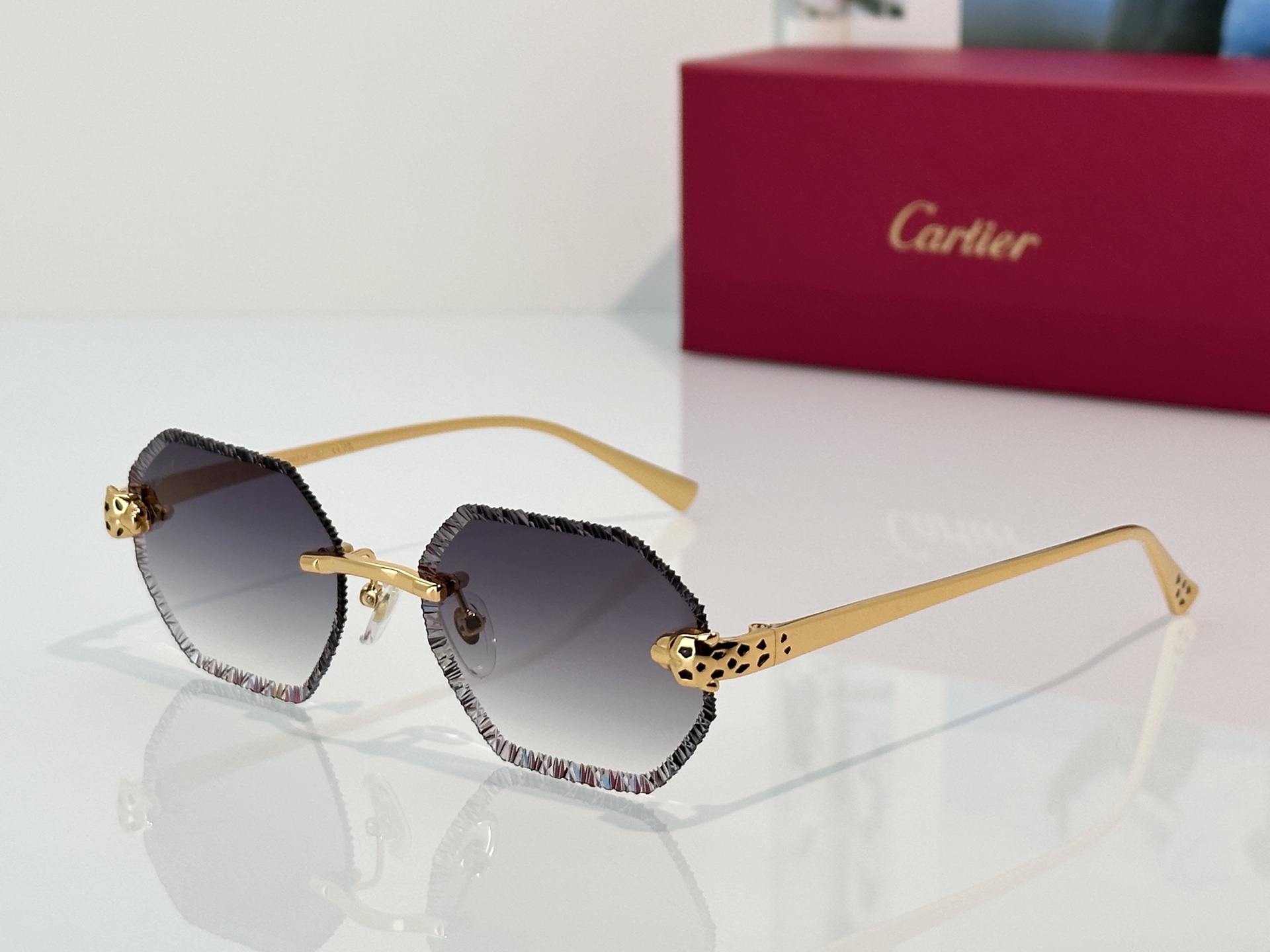 Designer Sunglasses CT7449S