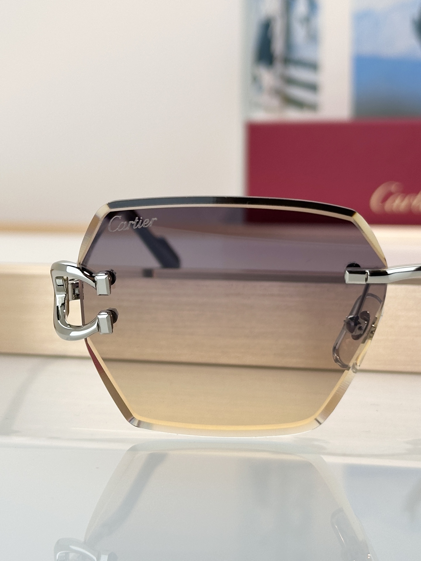 Designer Sunglasses CT0466S