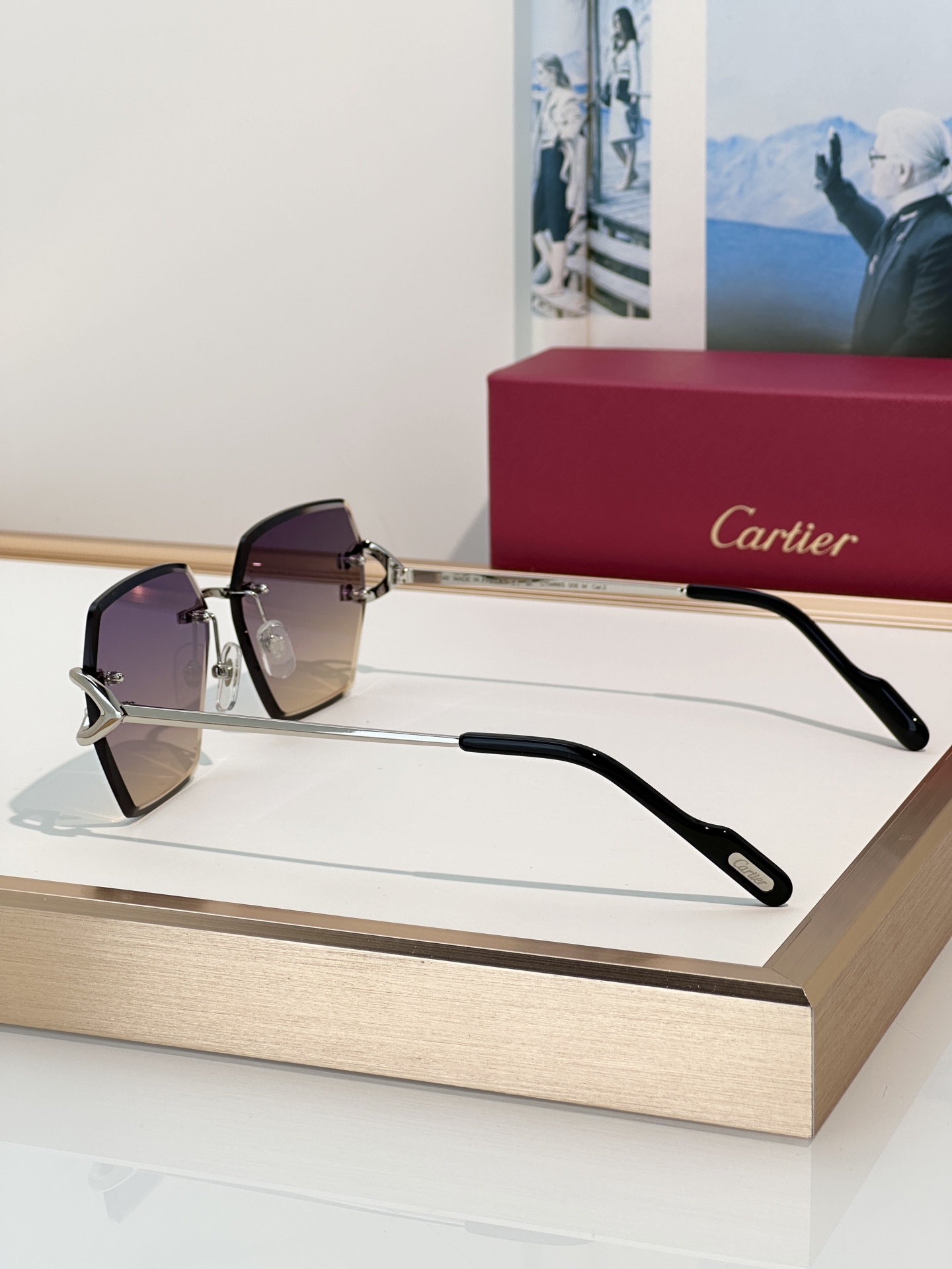 Designer Sunglasses CT0466S