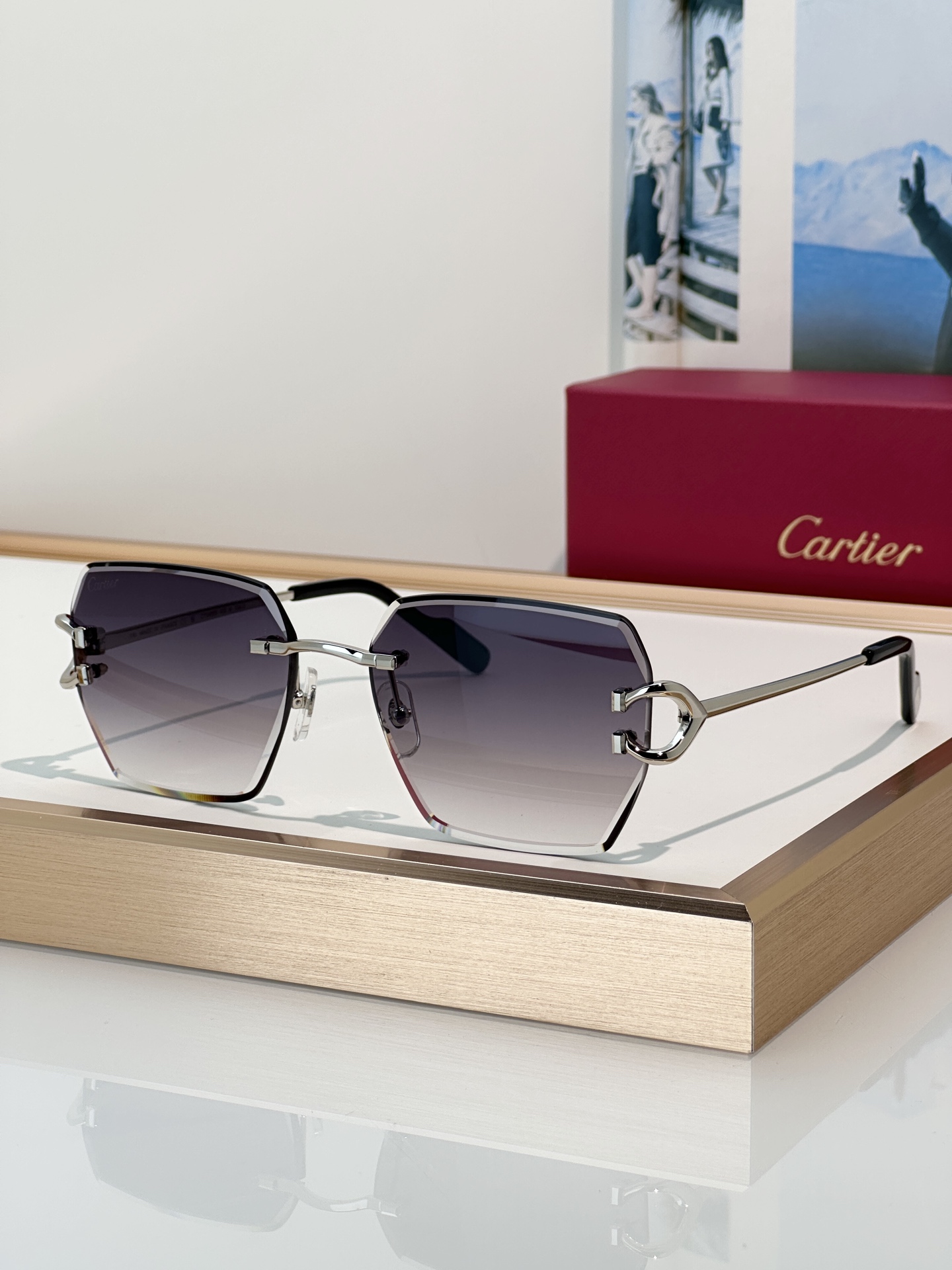 Designer Sunglasses CT0466S