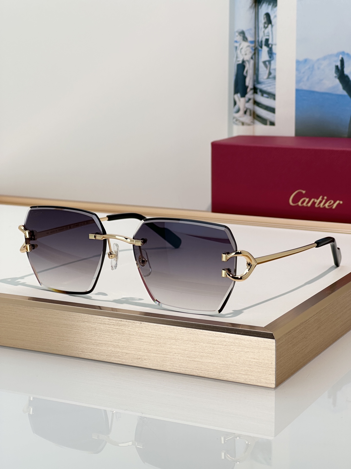 Designer Sunglasses CT0466S