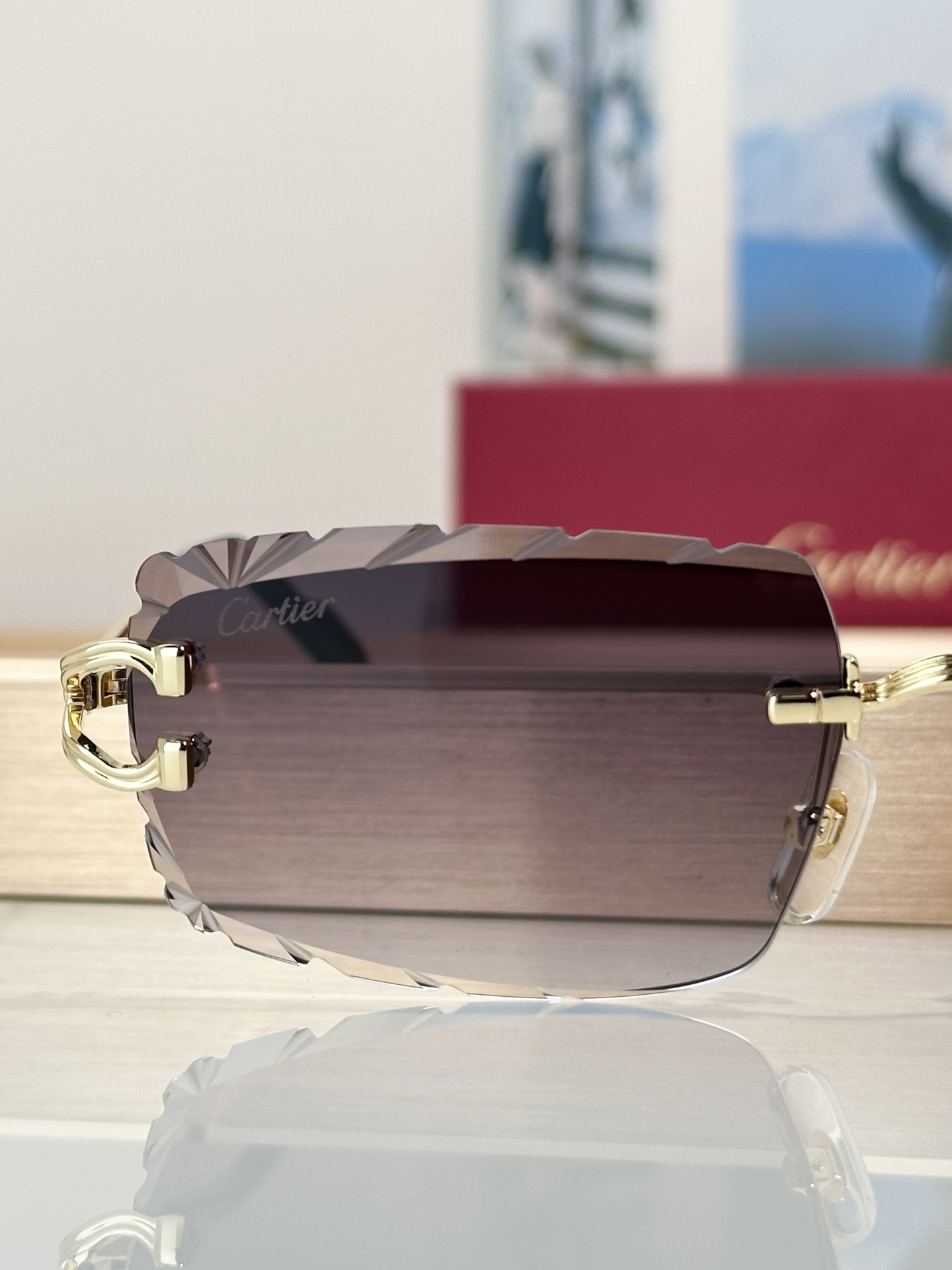 Designer Sunglasses CT0632S