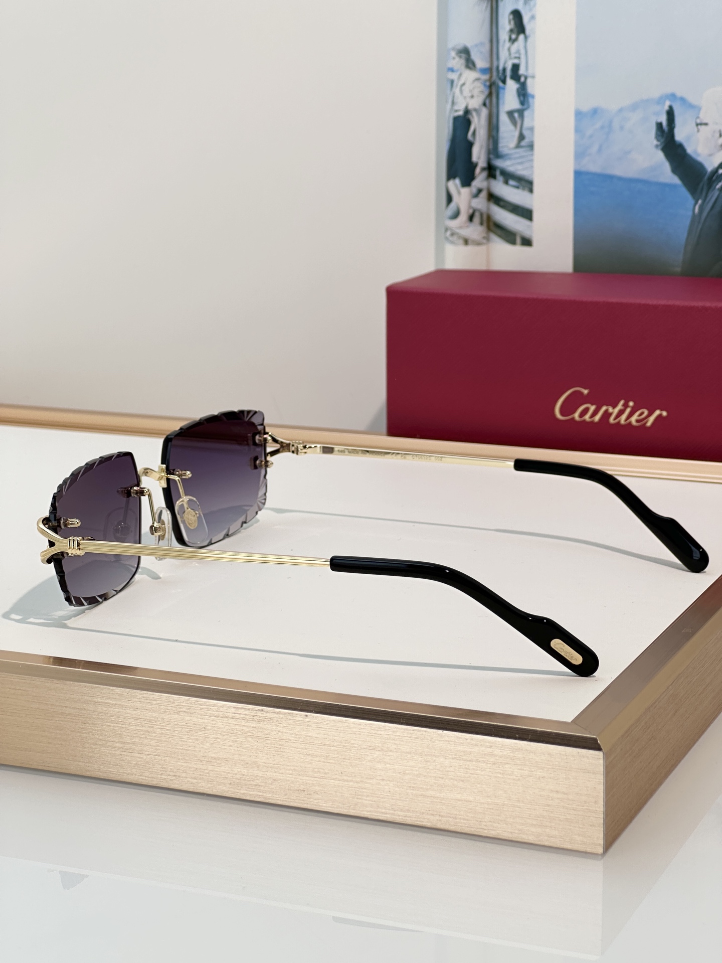 Designer Sunglasses CT0632S